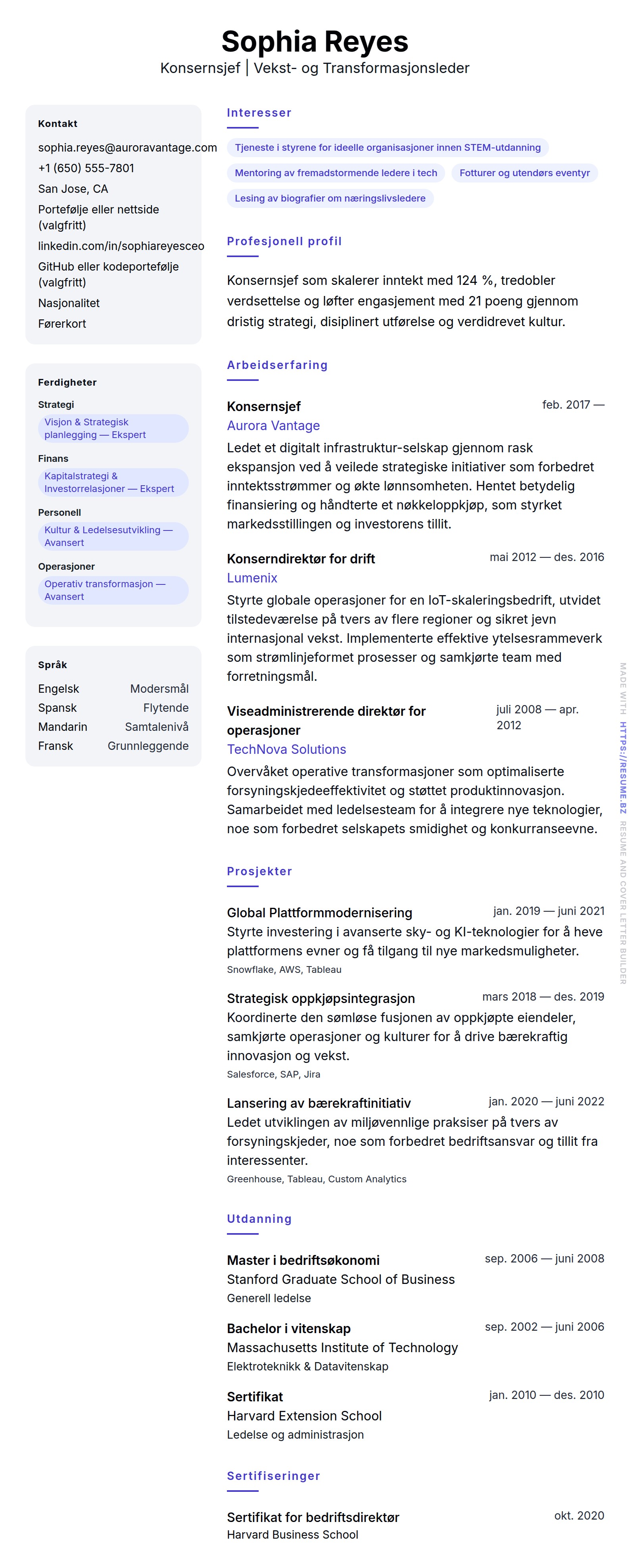 CV-forhåndsvisning for Konsernsjef CV-eksempel