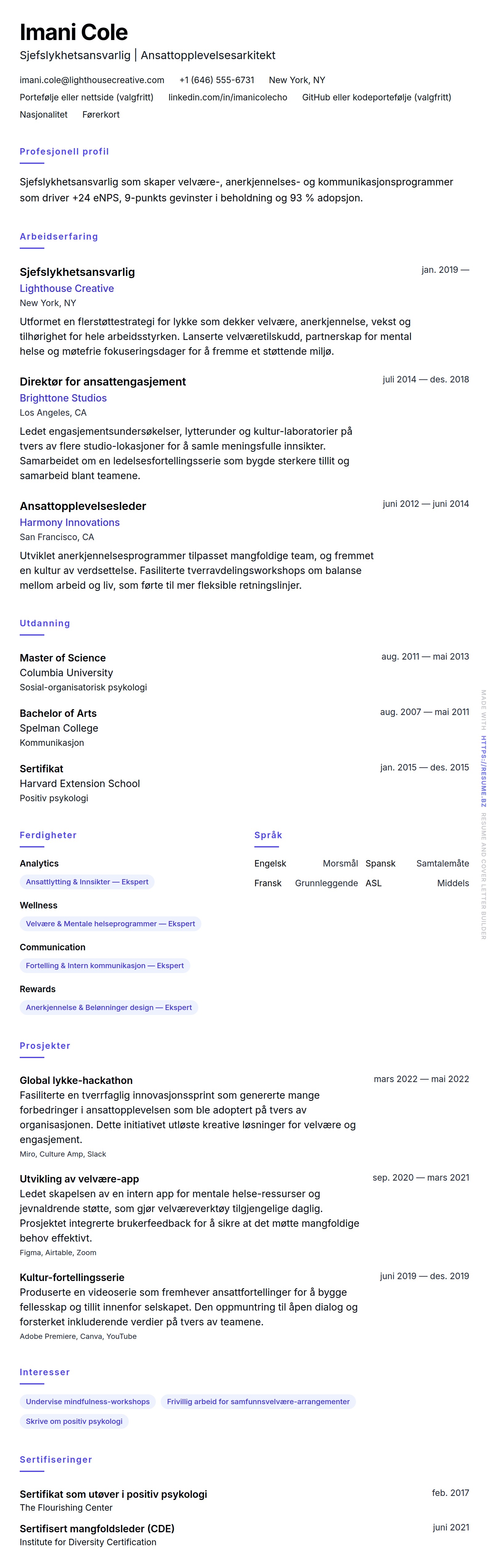 CV-forhåndsvisning for Sjefslykhetsansvarlig (CHO) CV-eksempel