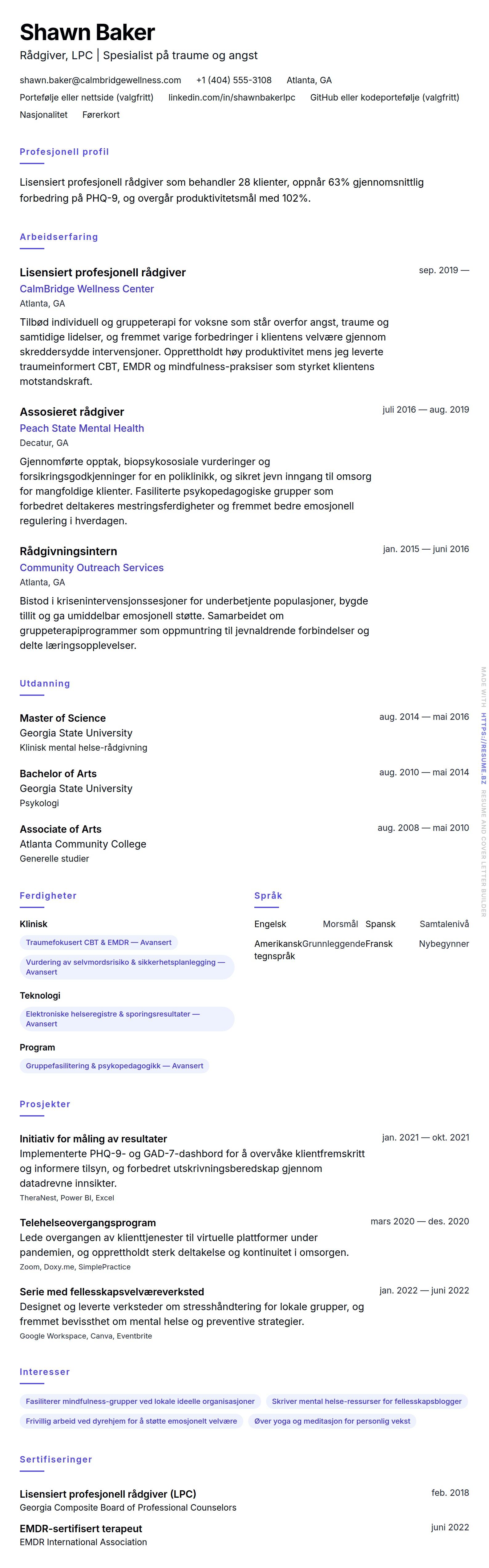 CV-forhåndsvisning for Rådgiver CV-eksempel