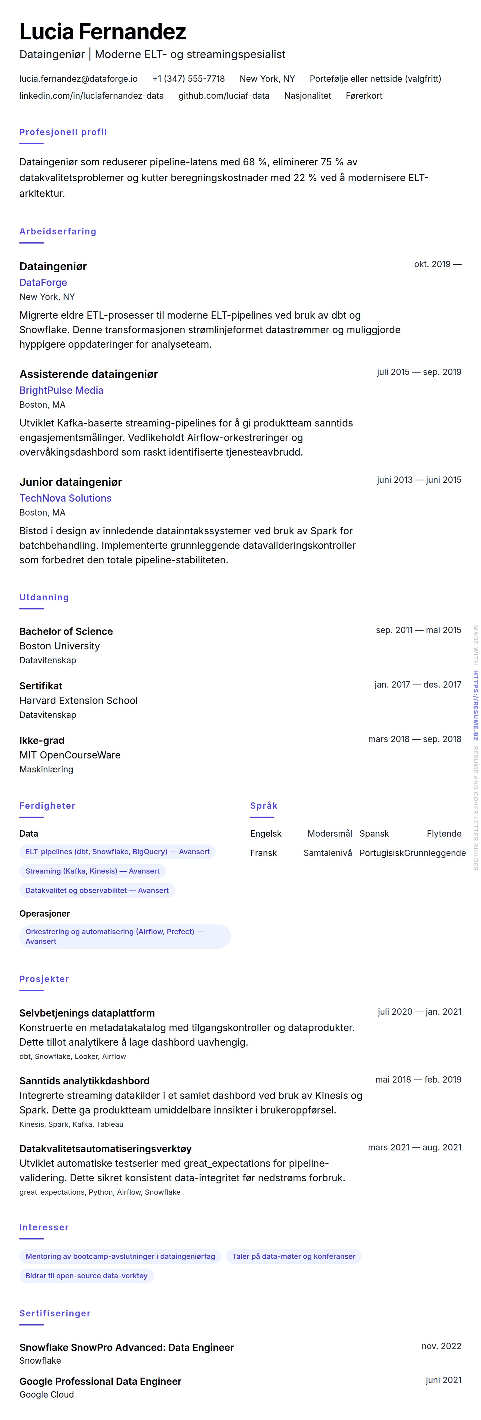 CV-forhåndsvisning for Dataingeniør CV-eksempel