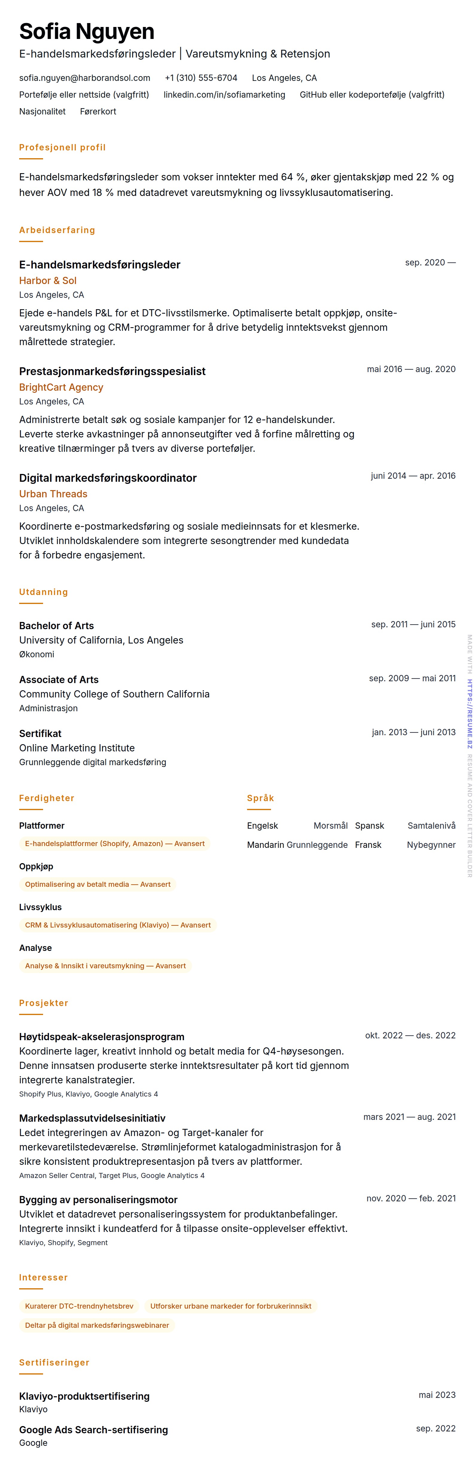 E-handelsmarkedsføringsleder CV-eksempel
