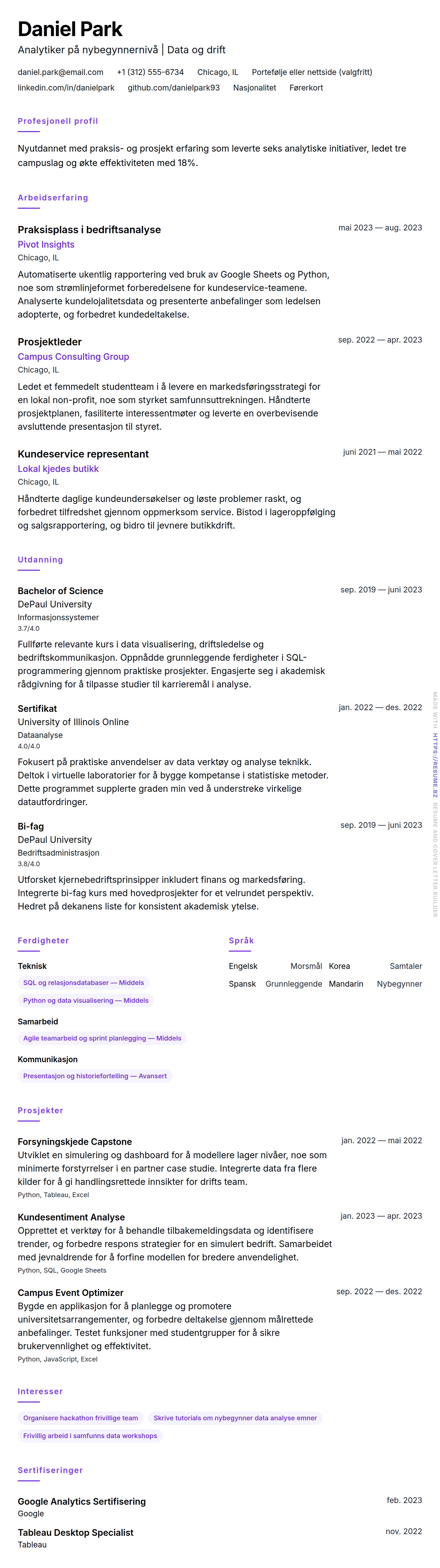 CV-forhåndsvisning for Eksempel på CV for nybegynnere