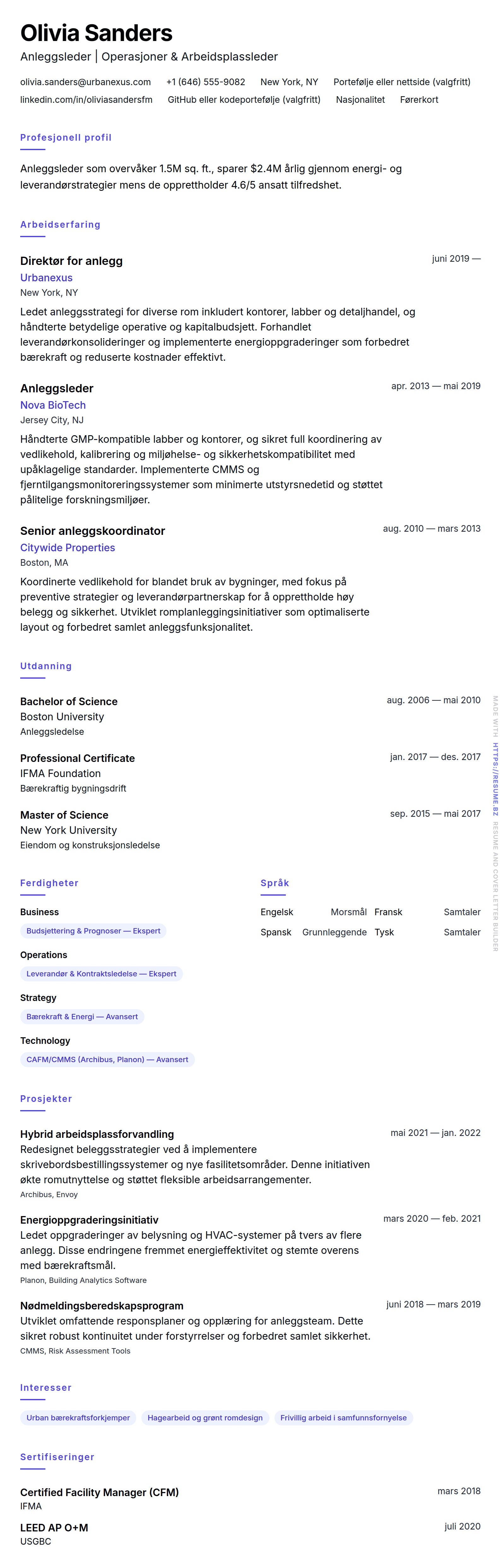 CV-forhåndsvisning for Anleggsleder CV-eksempel