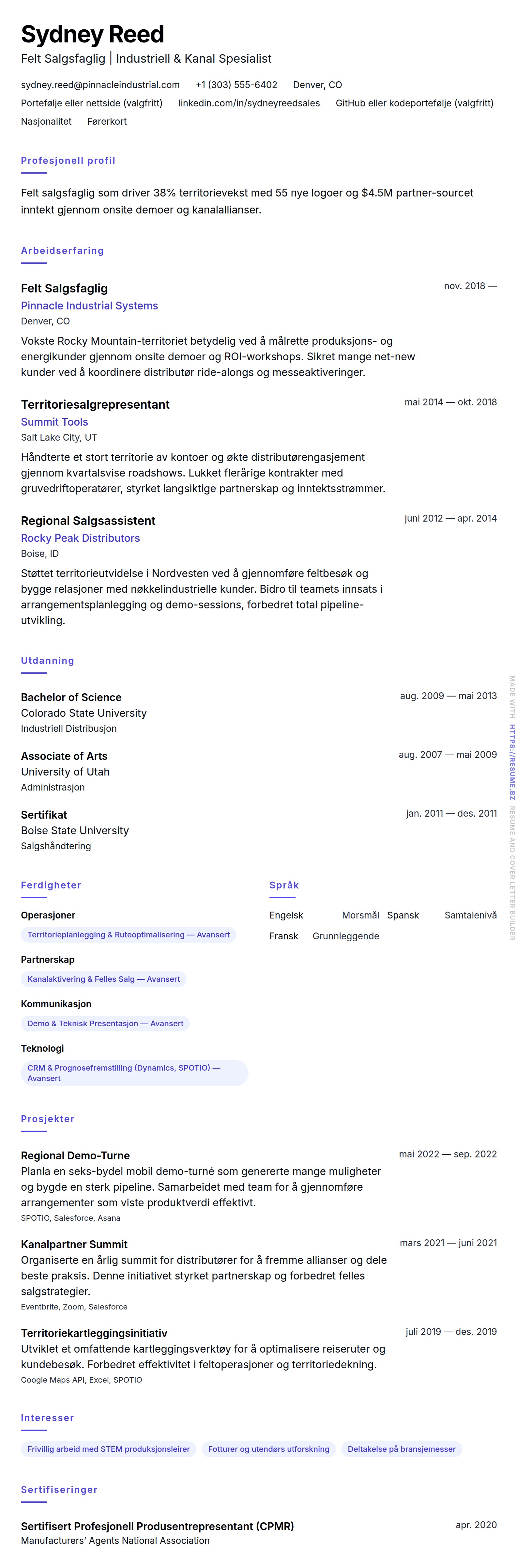CV-forhåndsvisning for Felt Salgsfaglig CV-Eksempel