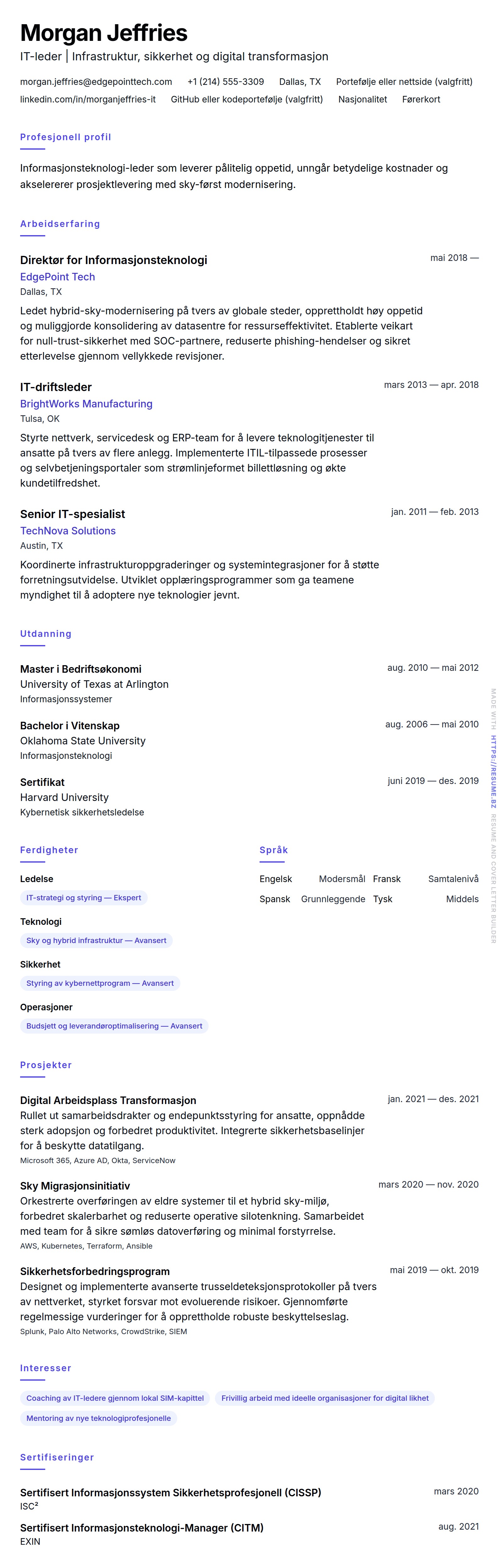 CV-forhåndsvisning for Informasjonsteknologi Profesjonell CV-Eksempel