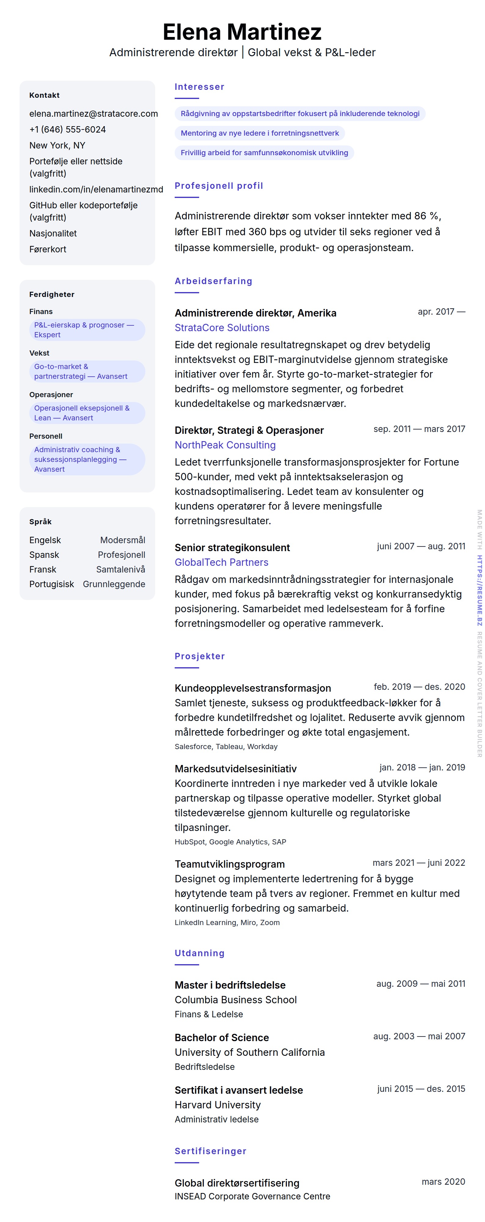 Administrerende direktør CV-eksempel