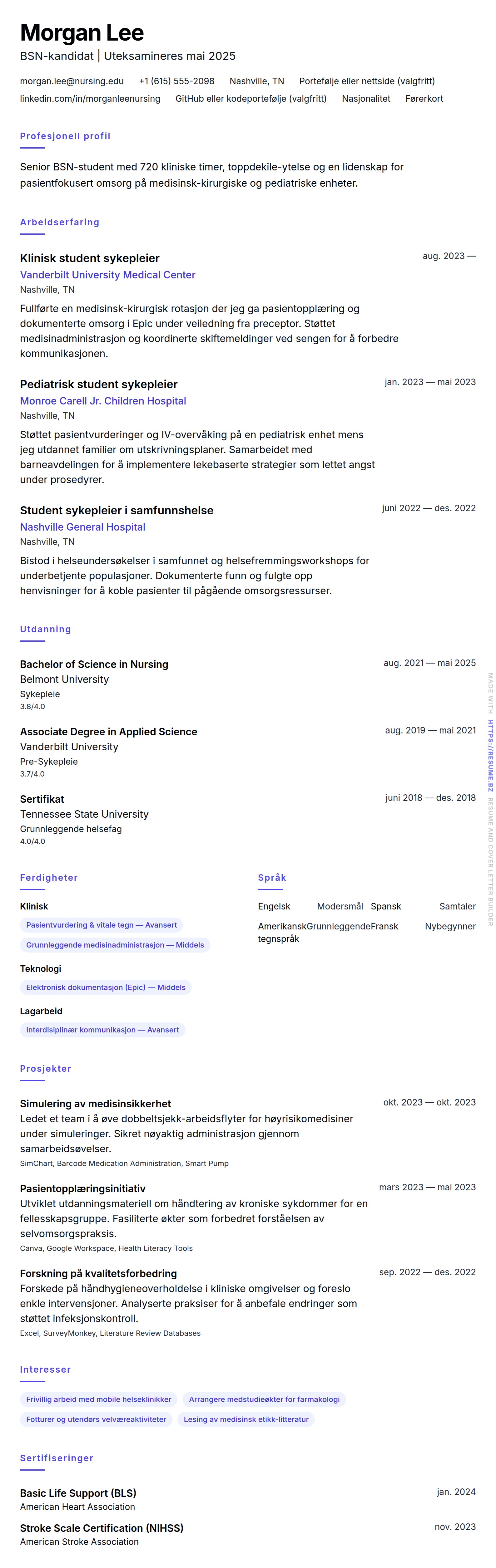 CV-forhåndsvisning for Eksempel på CV for sykepleierstudent