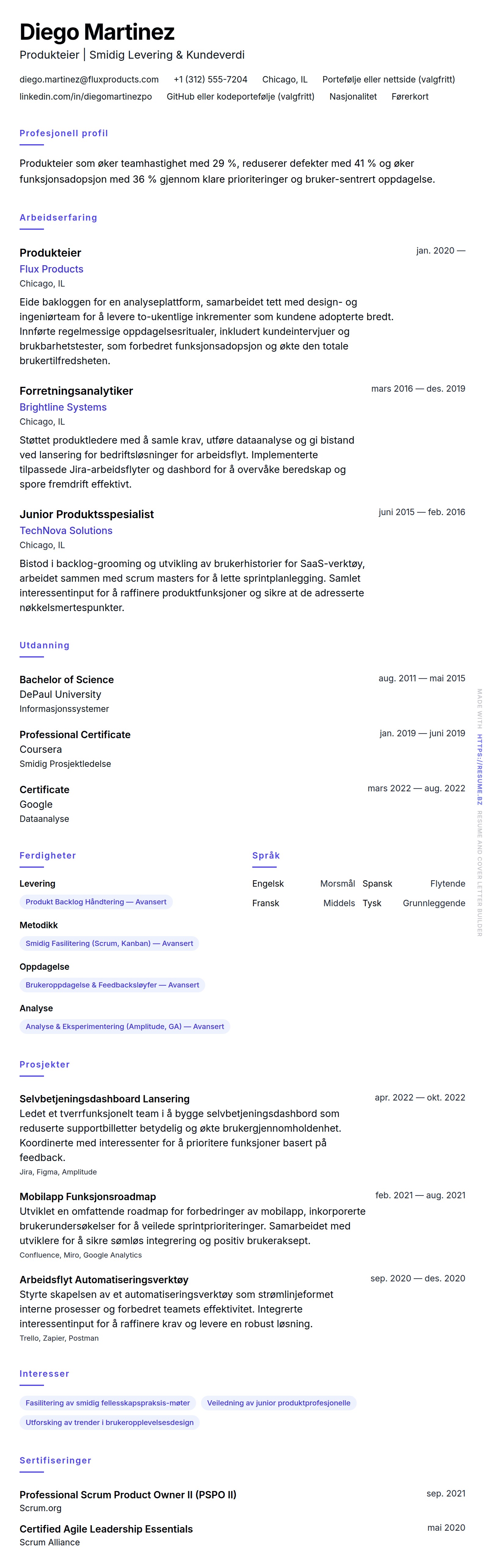 CV-forhåndsvisning for Produkteier CV-eksempel