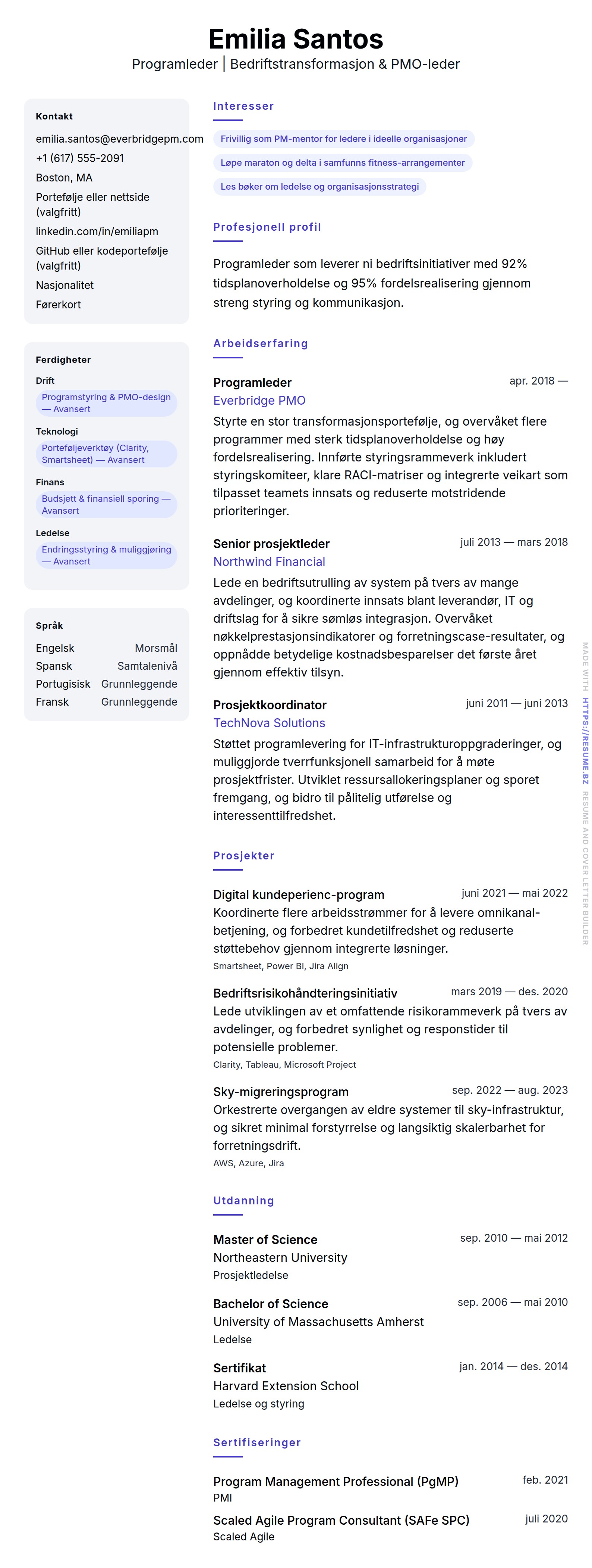 Programleder CV-eksempel