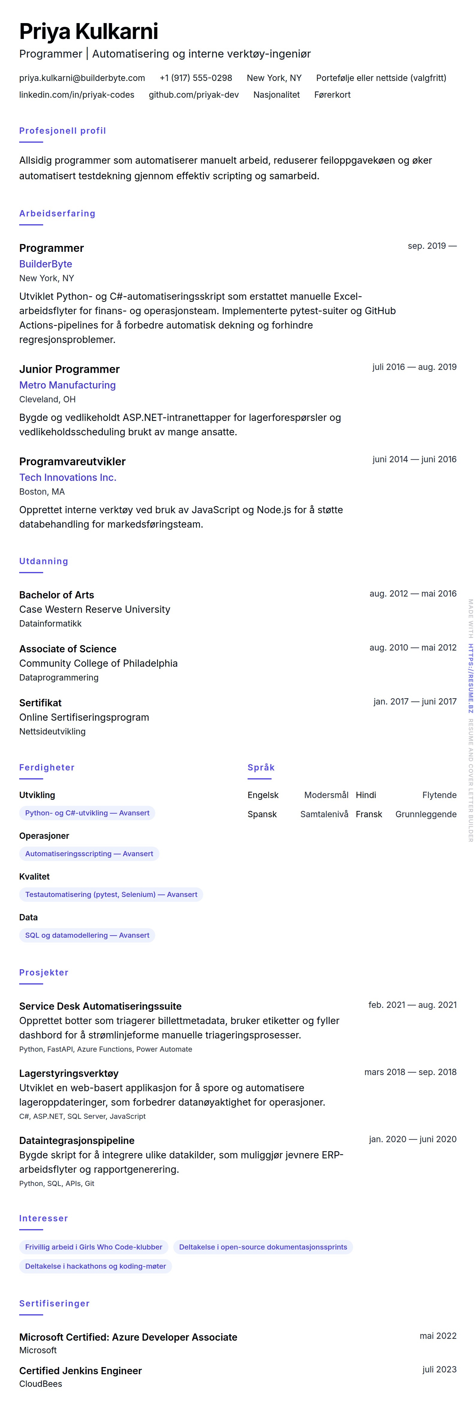 CV-forhåndsvisning for Programmer CV-eksempel