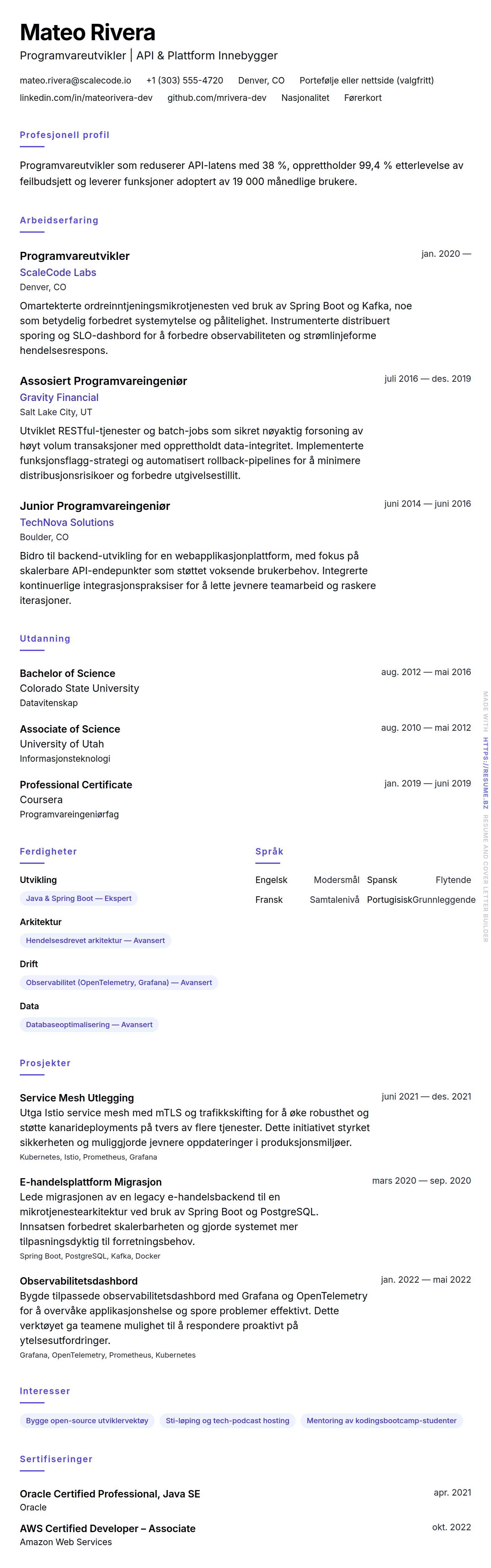 CV-forhåndsvisning for Programvareutvikler CV-eksempel