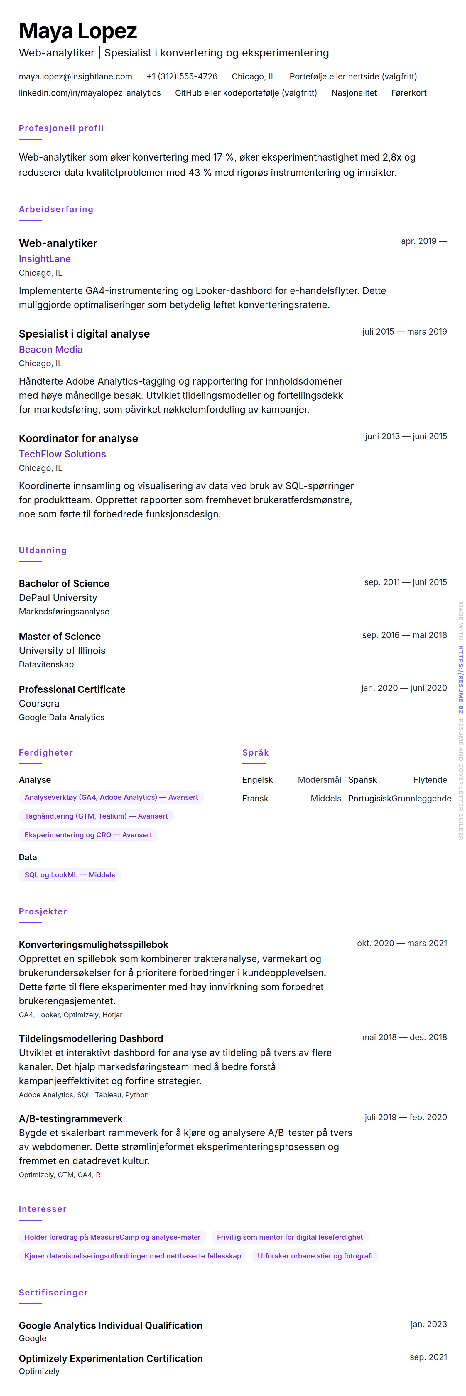 CV-forhåndsvisning for Eksempel på CV for Web-analytiker