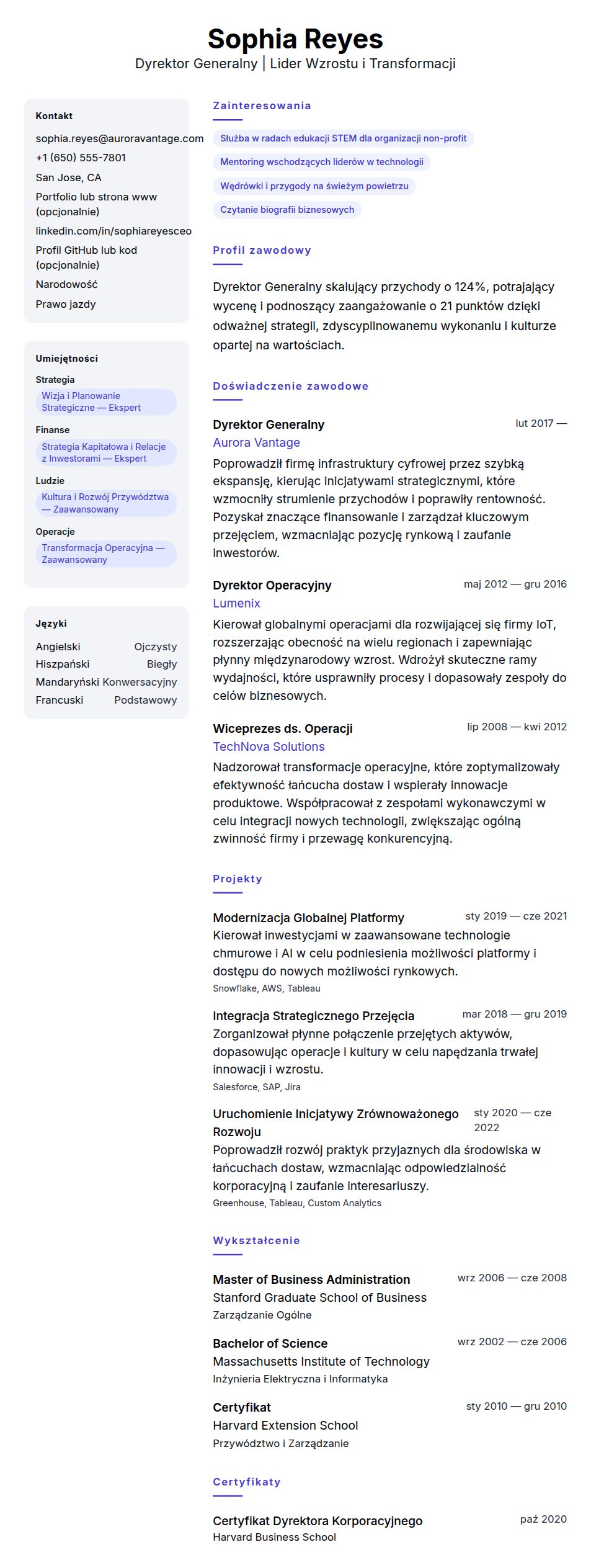 Podgląd CV Przykładowe CV Dyrektora Generalnego