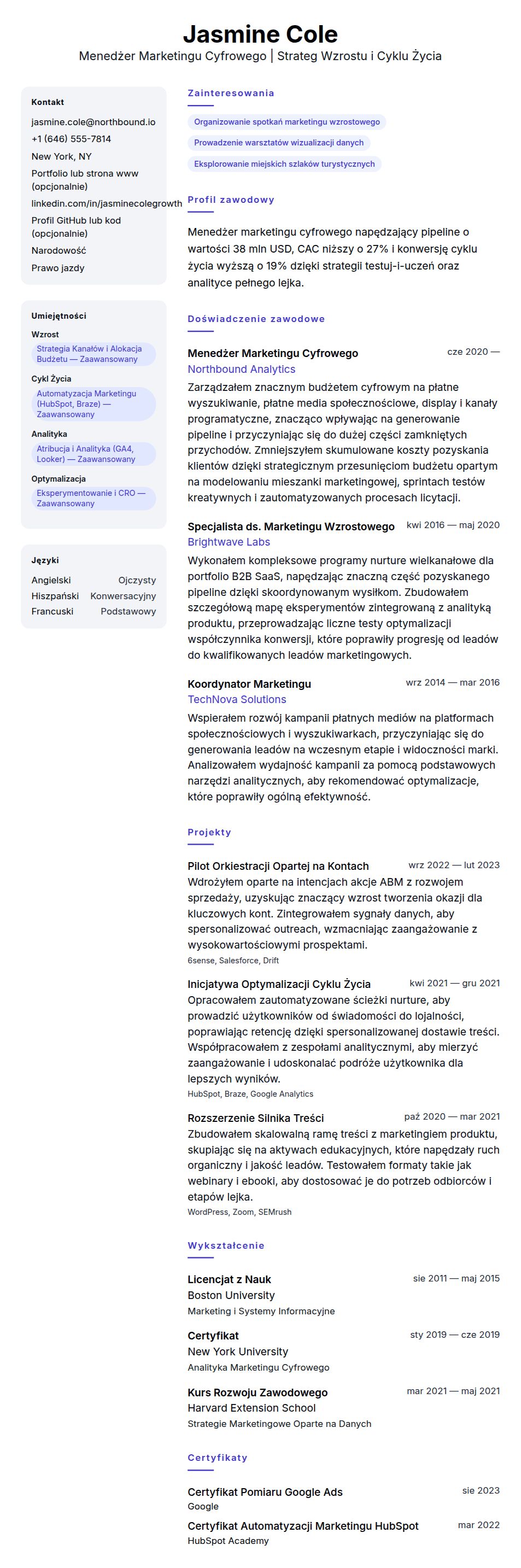 Podgląd CV Przykład CV Menedżera Marketingu Cyfrowego