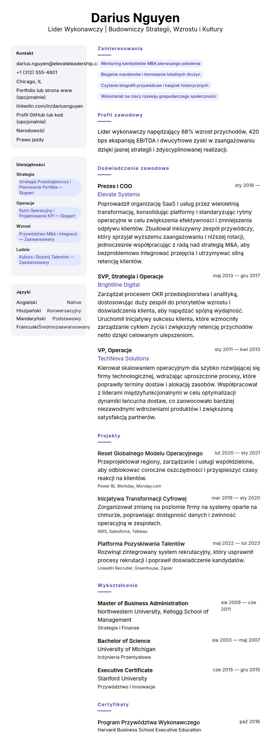 Podgląd CV Przykład CV Lidera Wykonawczego