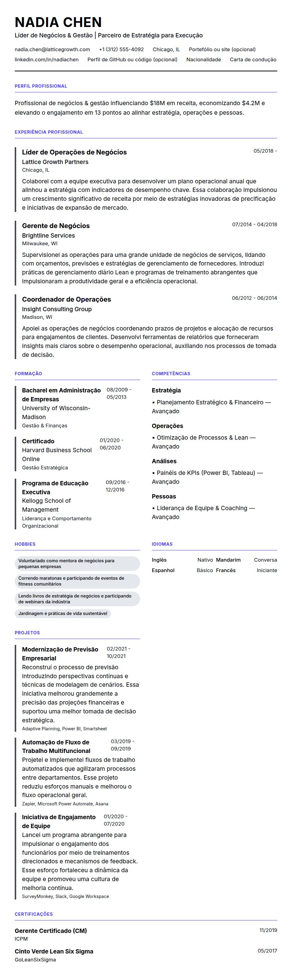 Pré-visualização do currículo Exemplo de Currículo para Profissional de Negócios & Gestão