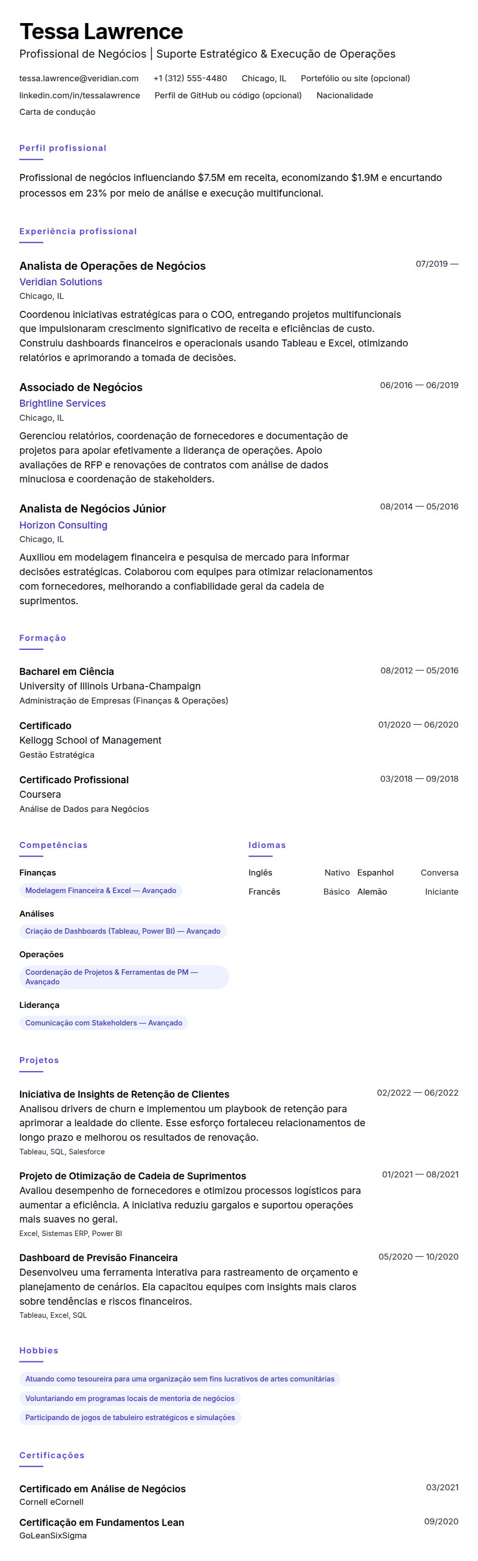 Pré-visualização do currículo Exemplo de Currículo para Profissional de Negócios