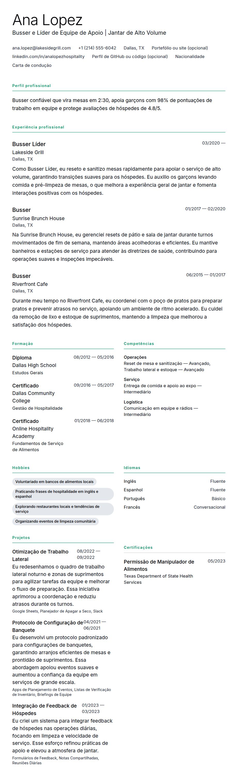 Pré-visualização do currículo Exemplo de Currículo de Busser