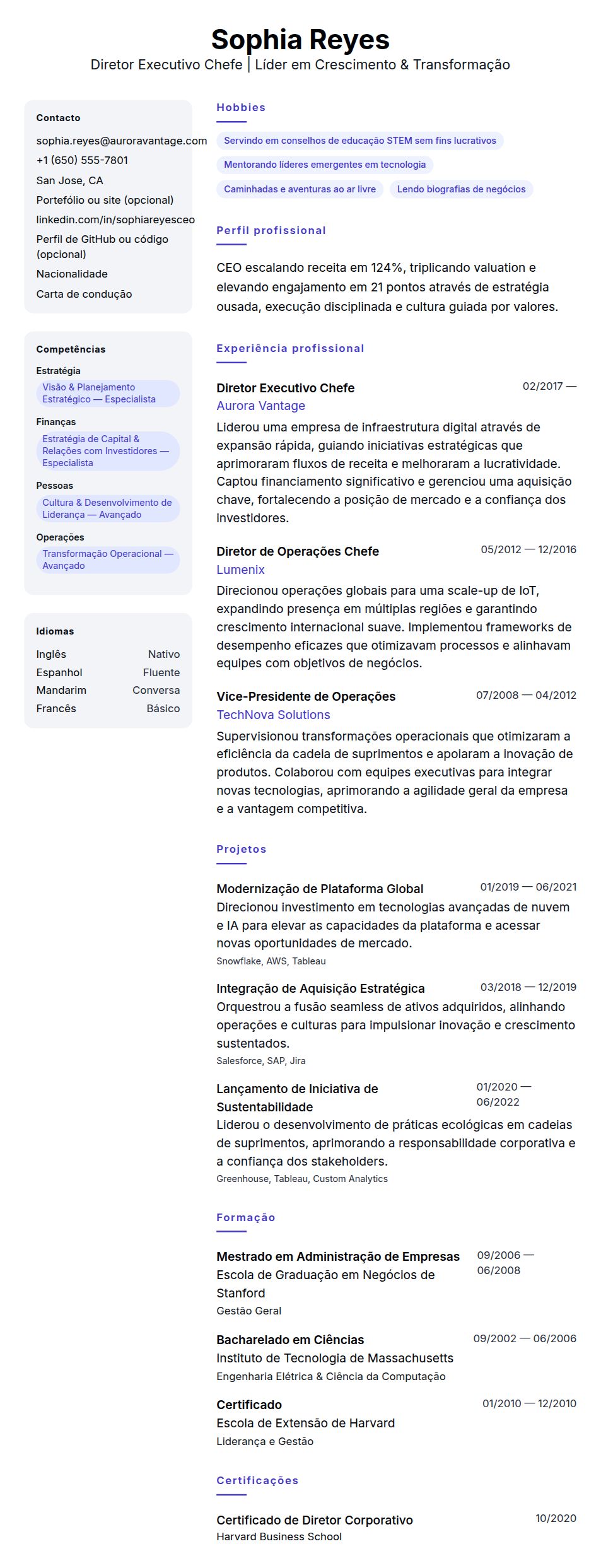 Exemplo de Currículo de Diretor Executivo Chefe