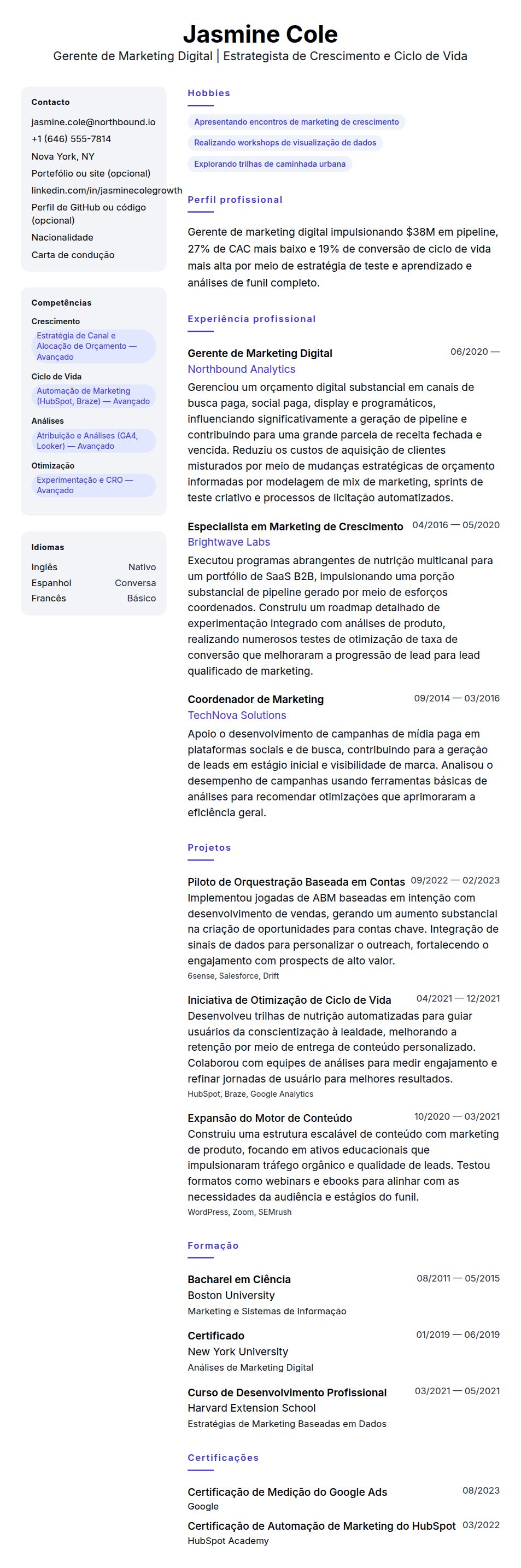 Pré-visualização do currículo Exemplo de Currículo para Gerente de Marketing Digital