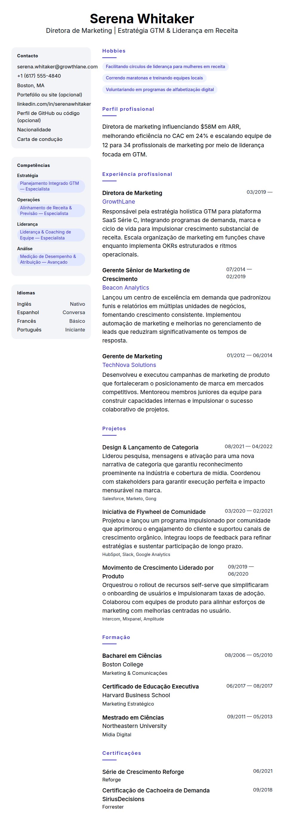Exemplo de Currículo para Diretor de Marketing