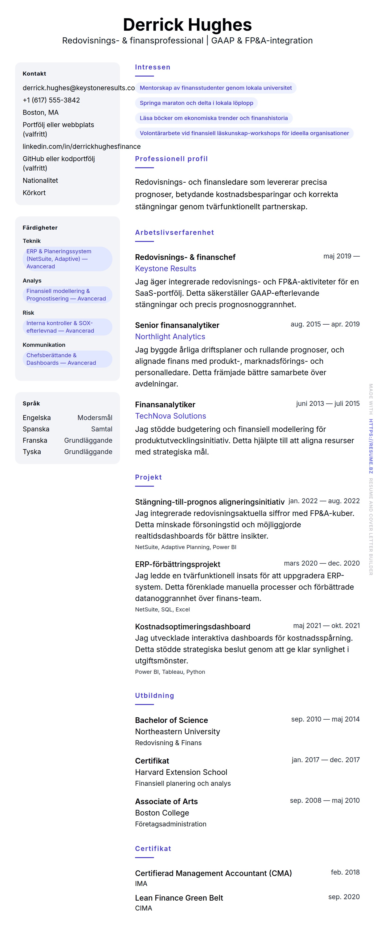 CV-förhandsgranskning för Exempel på CV för redovisnings- och finansprofessional