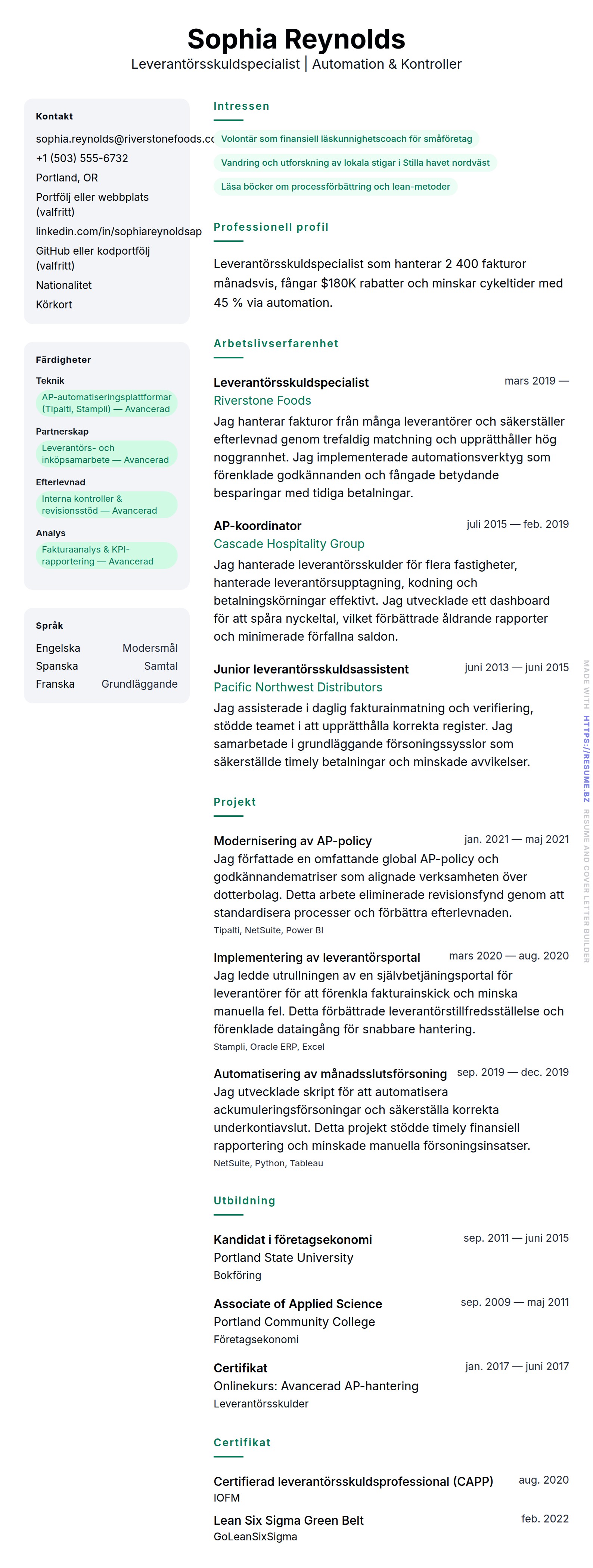 CV-förhandsgranskning för Exempel på CV för leverantörsskuldspecialist