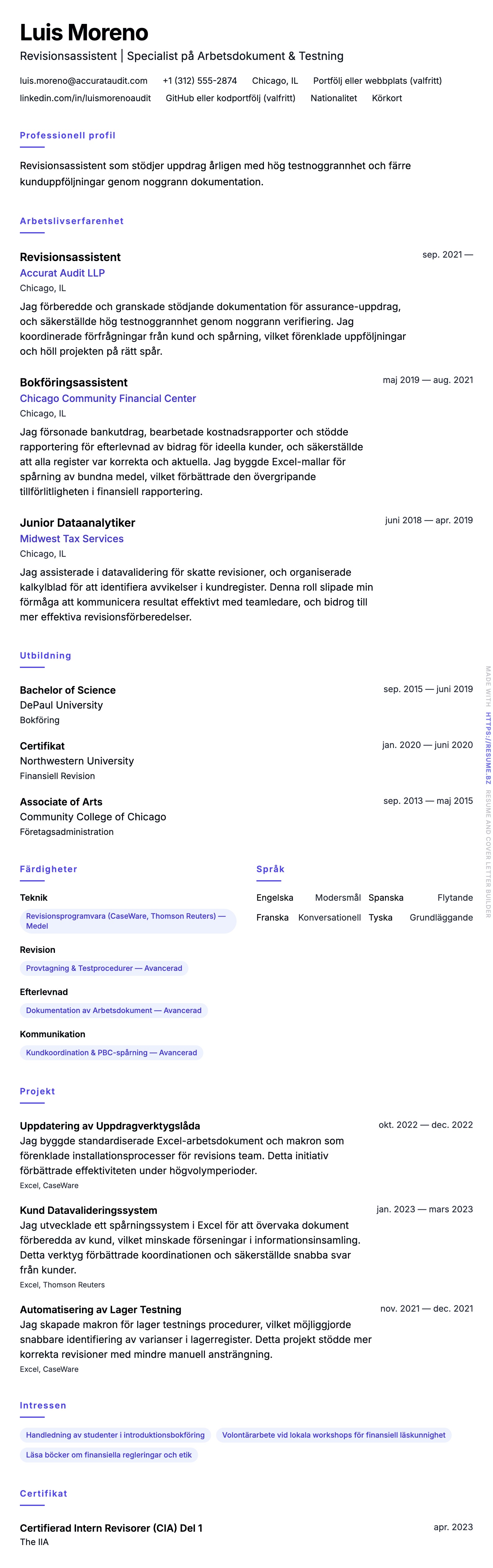 CV-förhandsgranskning för Exempel på CV för Revisionsassistent