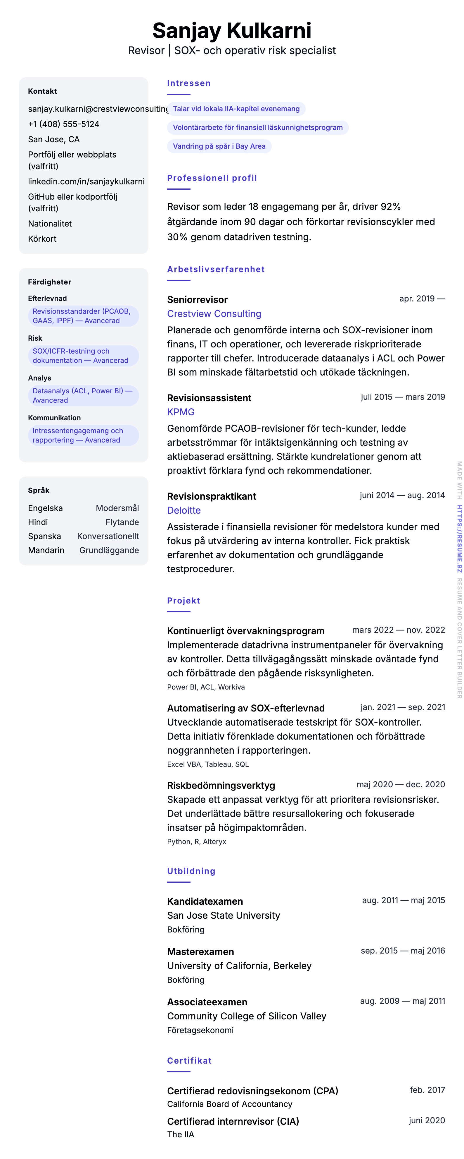 CV-förhandsgranskning för Exempel på CV för revisor