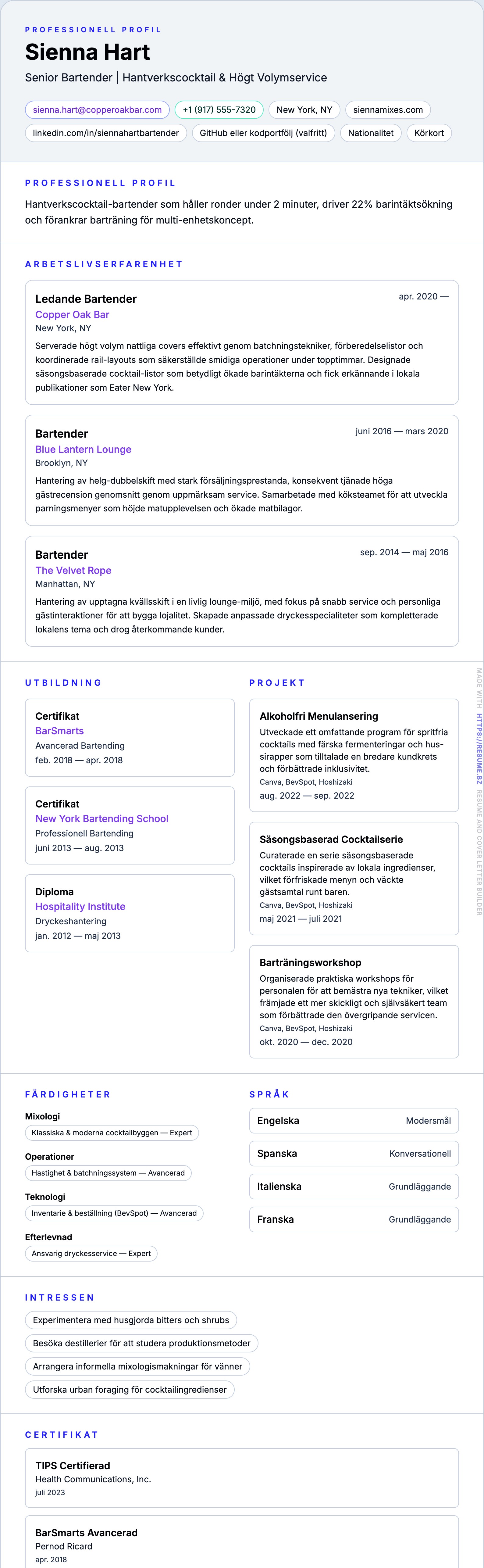 CV-förhandsgranskning för Bartender CV-exempel