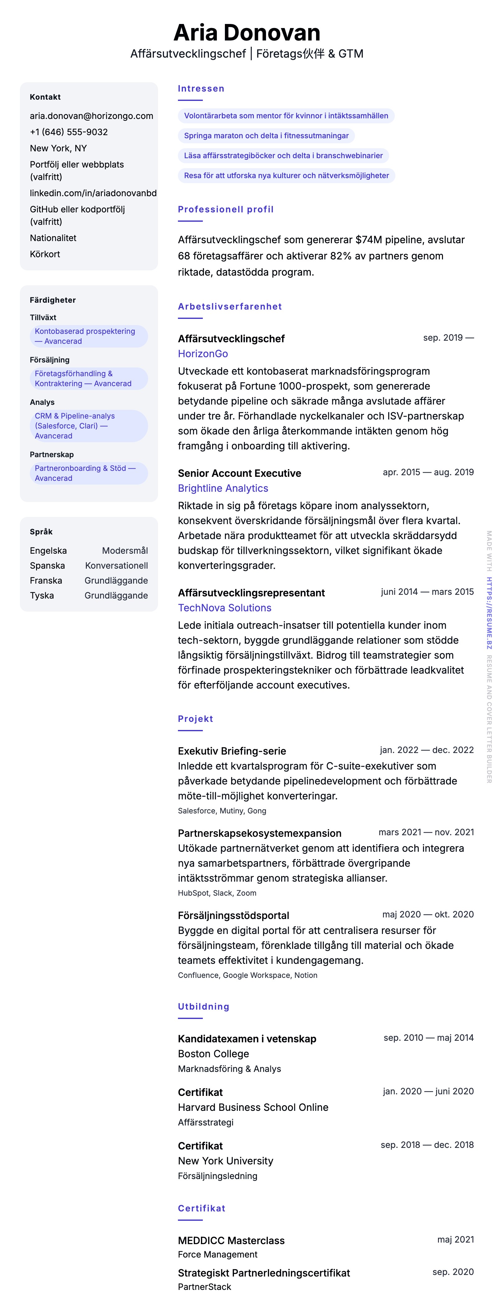 CV-förhandsgranskning för Affärsutvecklingschef CV-exempel