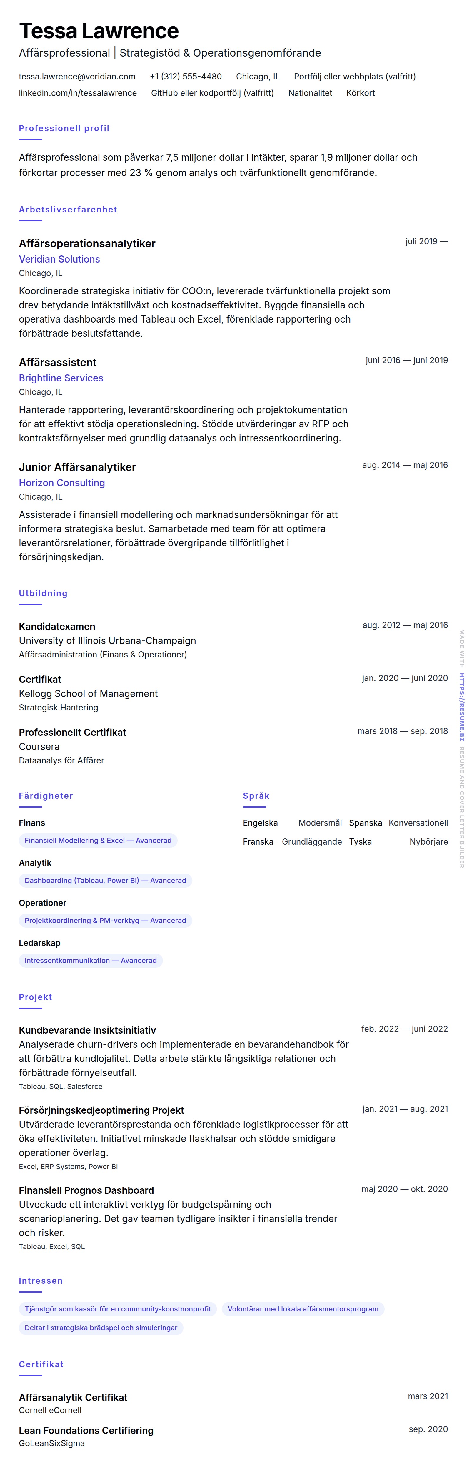 CV-förhandsgranskning för Exempel på CV för Affärsprofessional