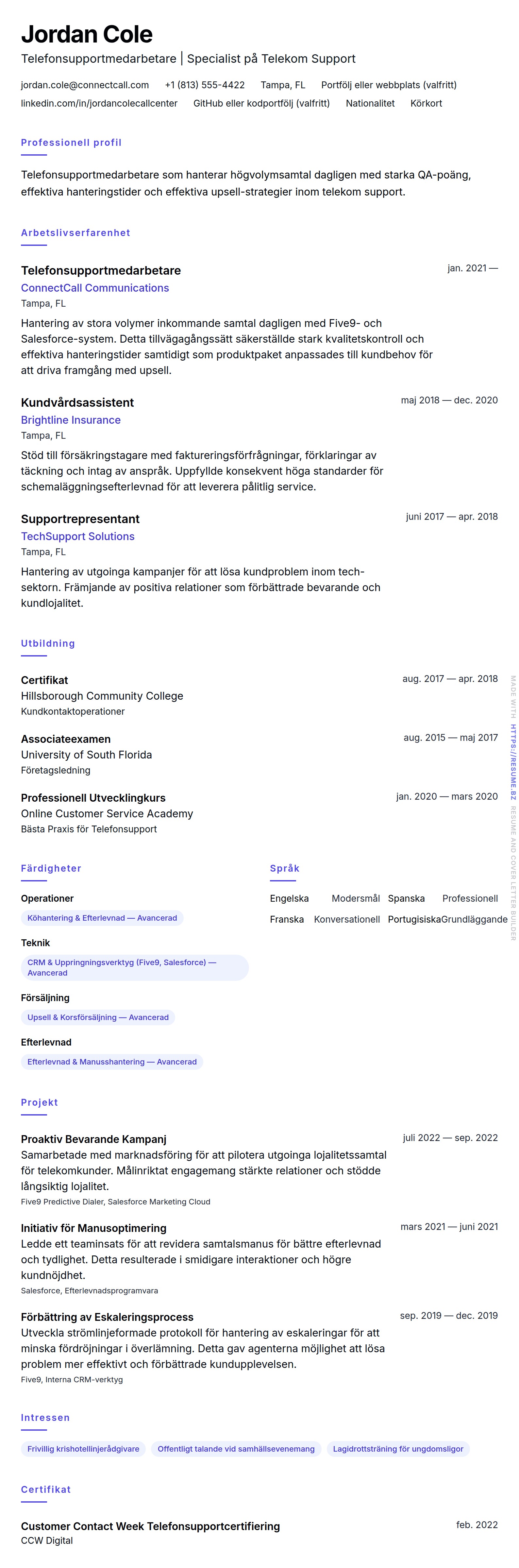 CV-förhandsgranskning för Exempel på CV för Telefonsupportmedarbetare