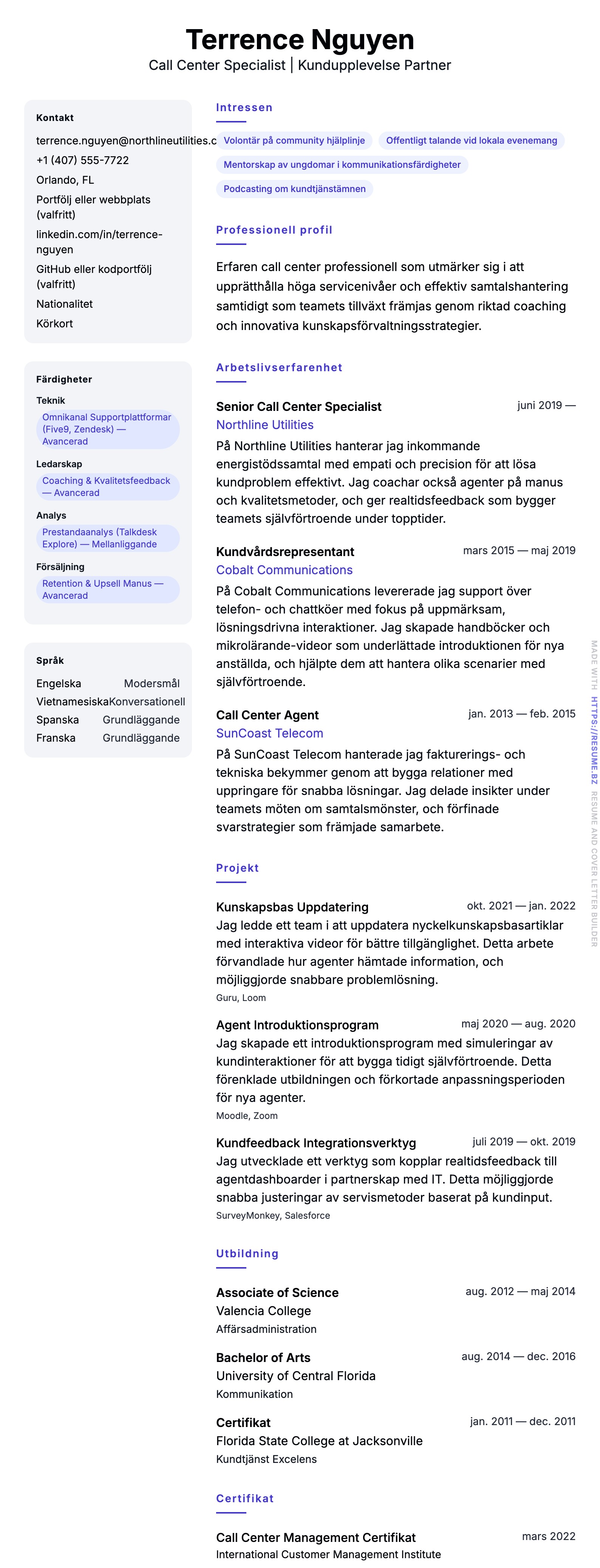 CV-förhandsgranskning för Call Center Professionell CV-Exempel