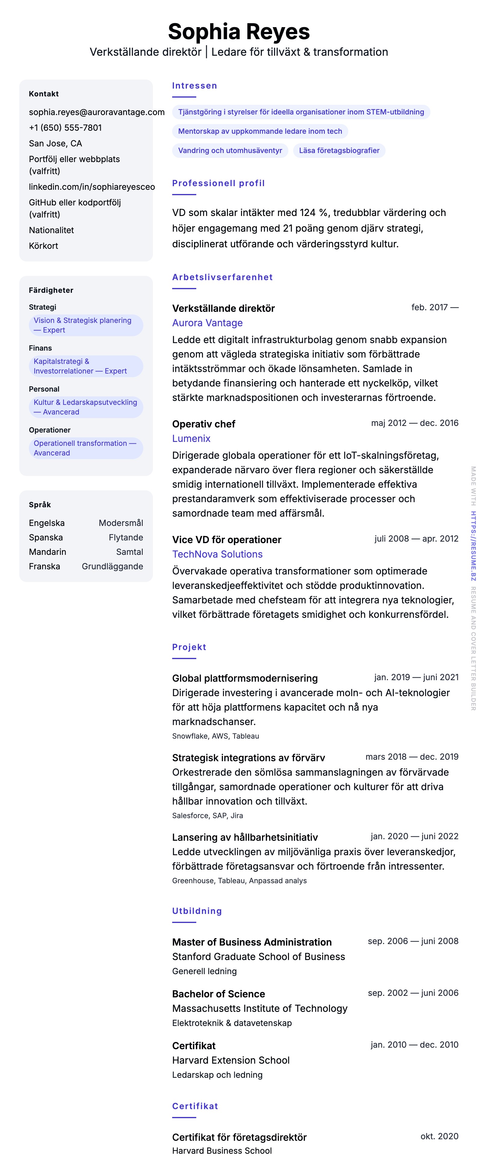 CV-förhandsgranskning för Exempel på CV för verkställande direktör