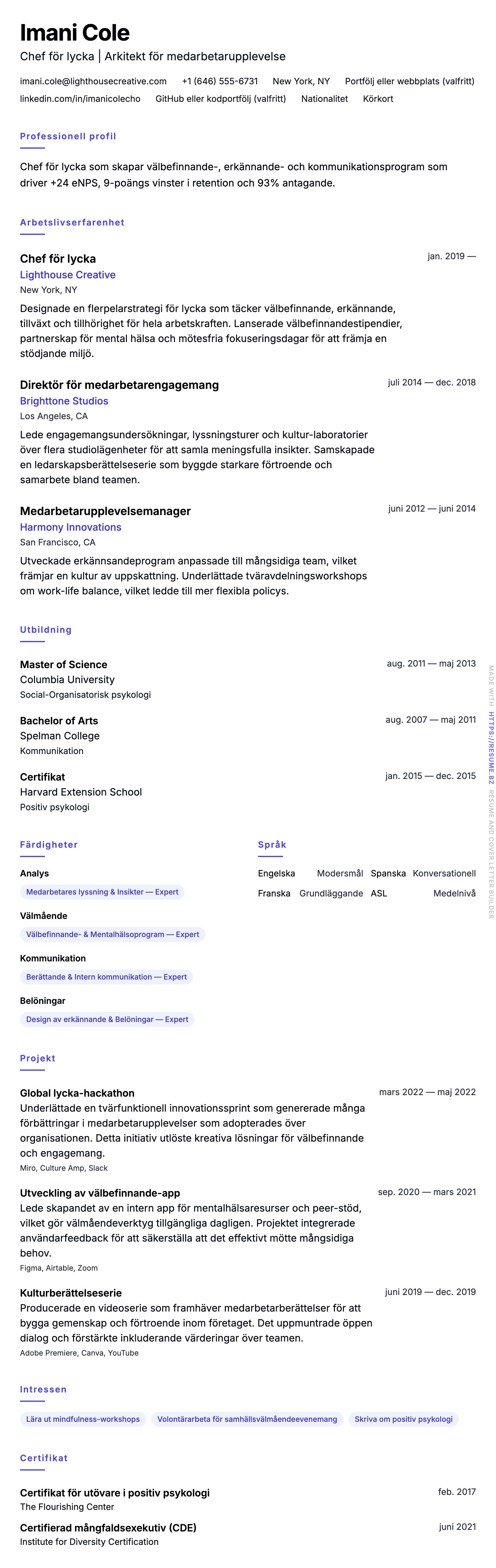CV-förhandsgranskning för Exempel på CV för Chef för lycka (CHO)
