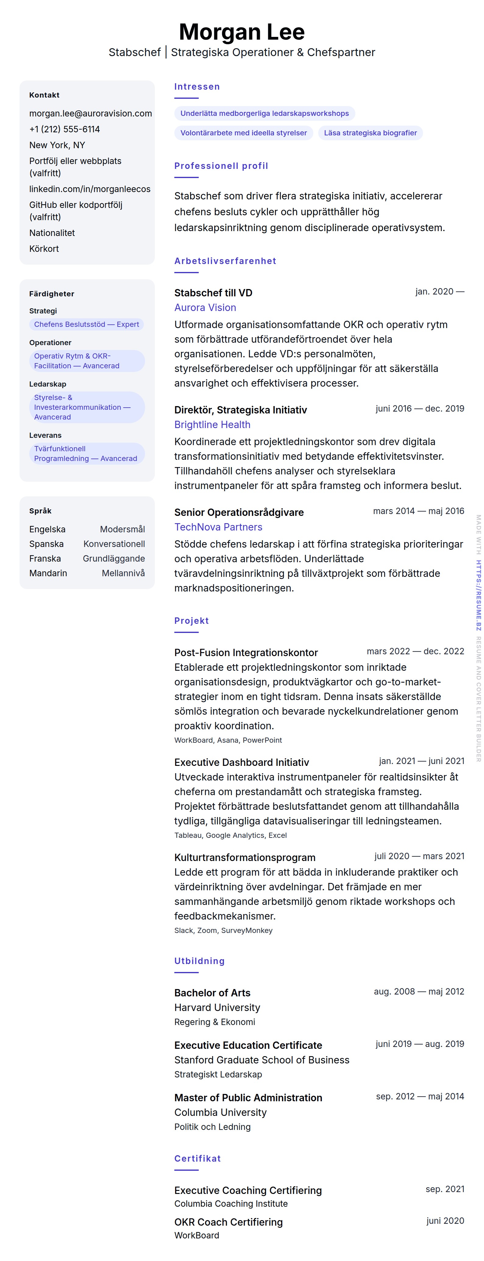 CV-förhandsgranskning för Stabschef CV-exempel
