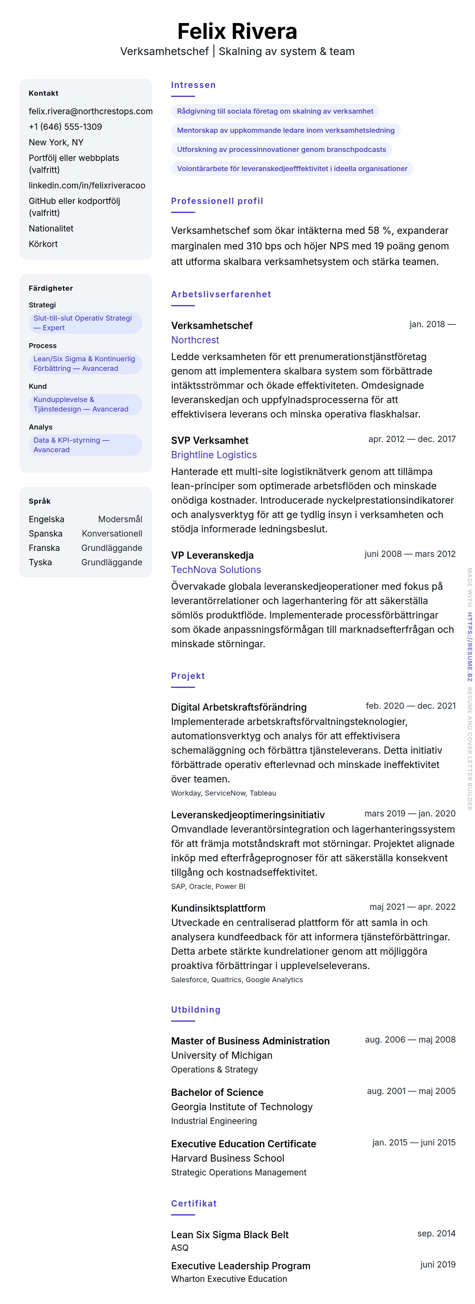 CV-förhandsgranskning för Verksamhetschef CV-exempel