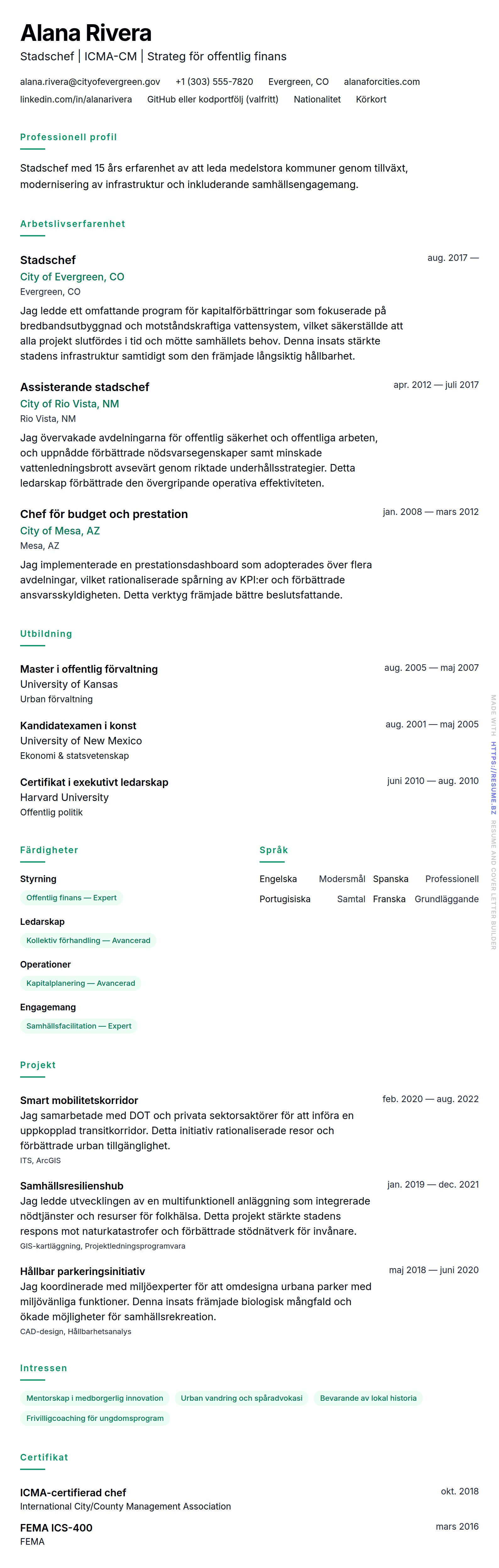 CV-förhandsgranskning för Exempel på CV för stadschef
