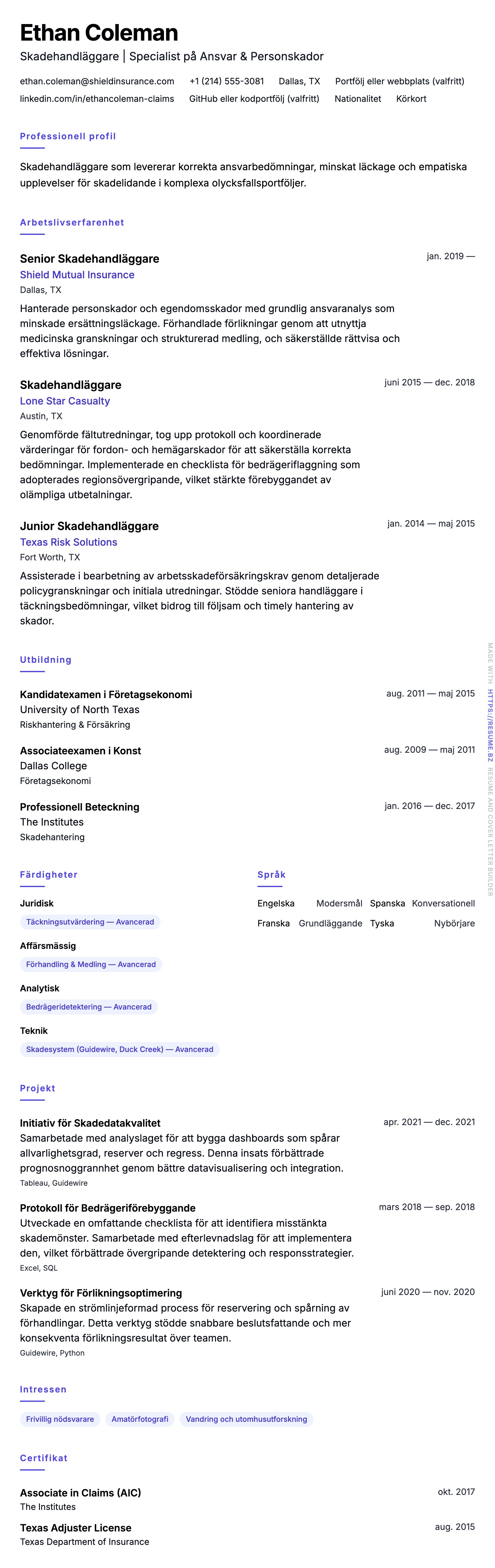 CV-förhandsgranskning för Exempel på CV för Skadehandläggare