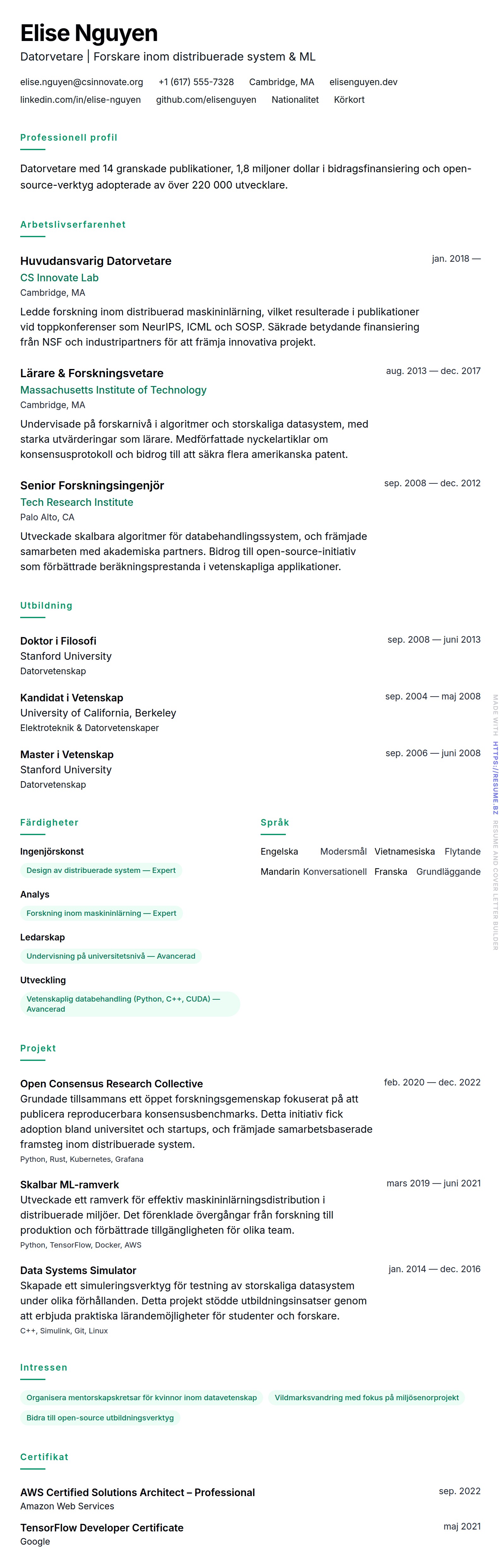 CV-förhandsgranskning för Exempel på CV för Datorvetare