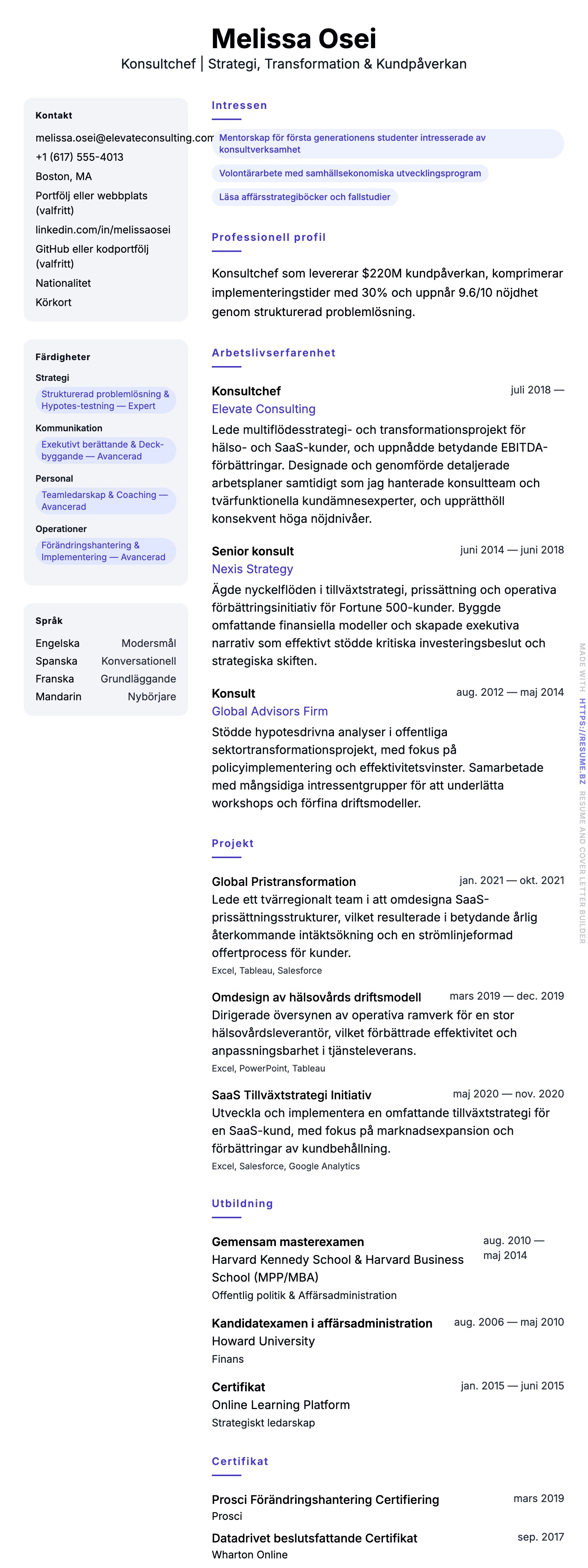CV-förhandsgranskning för Konsultchef CV-exempel