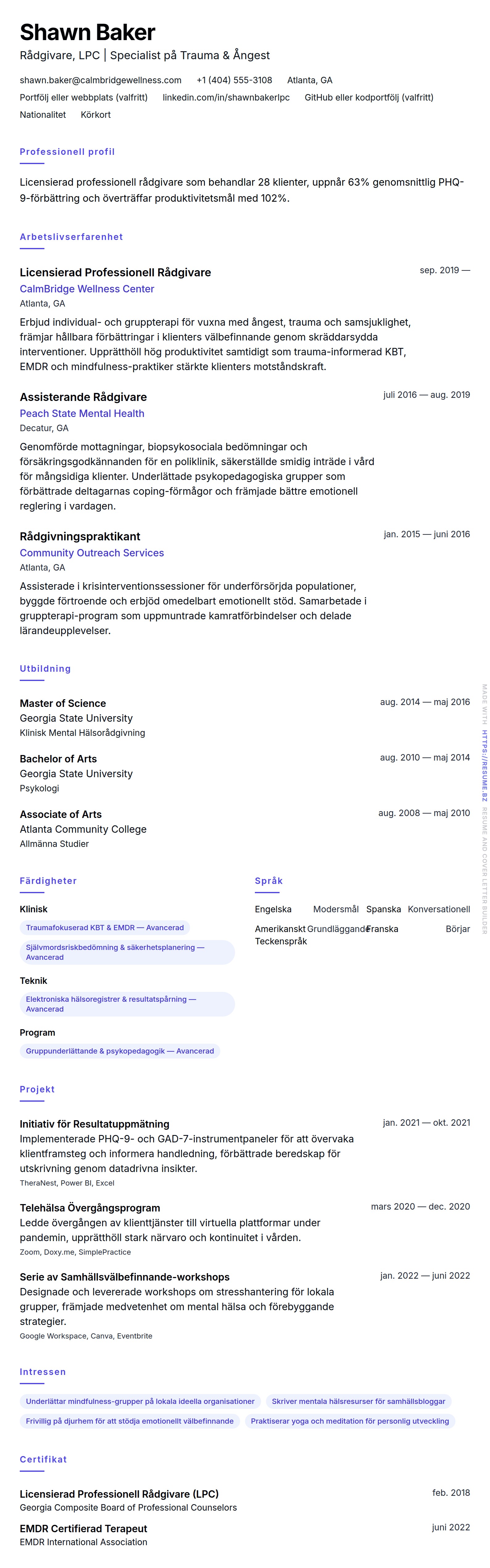 CV-förhandsgranskning för Rådgivare CV-exempel