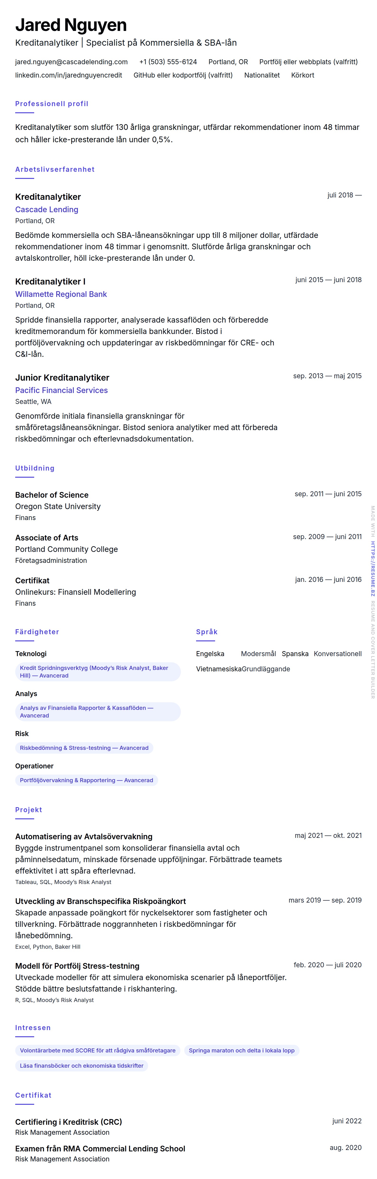 CV-förhandsgranskning för Exempel på CV för Kreditanalytiker