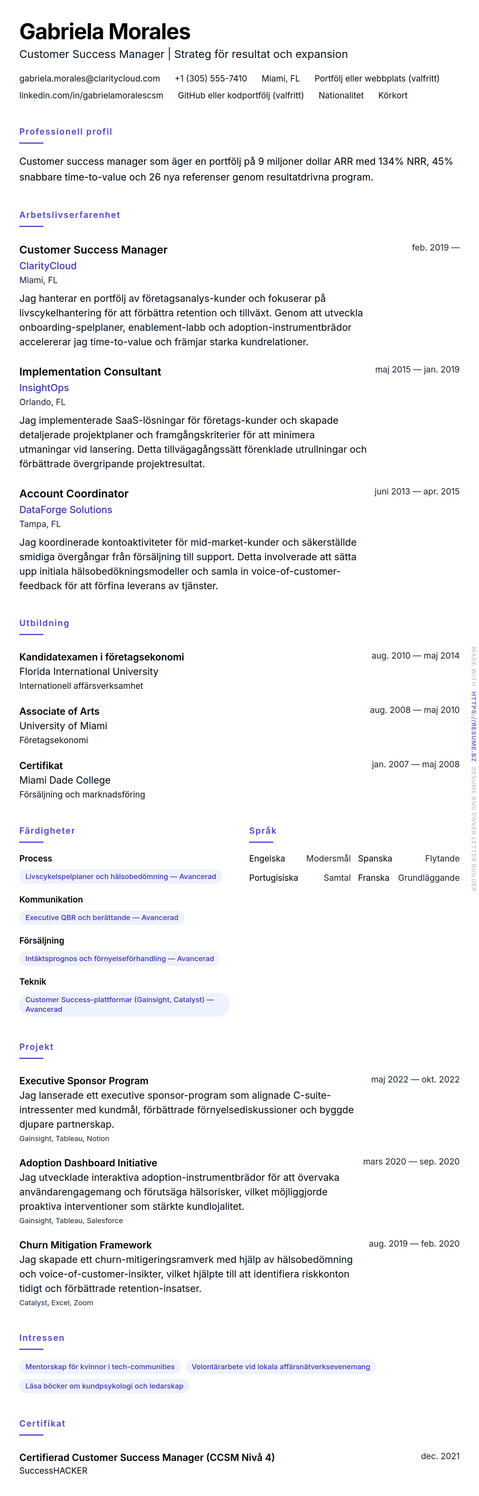 CV-förhandsgranskning för Exempel på CV för Customer Success Manager