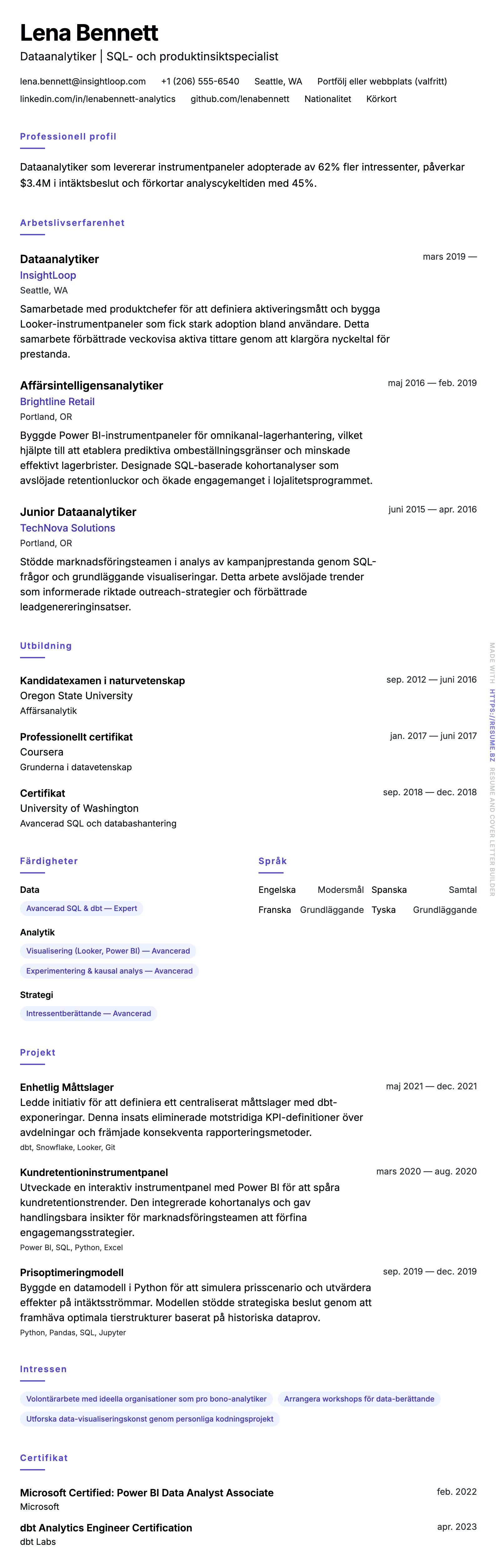 CV-förhandsgranskning för Exempel på CV för Dataanalytiker