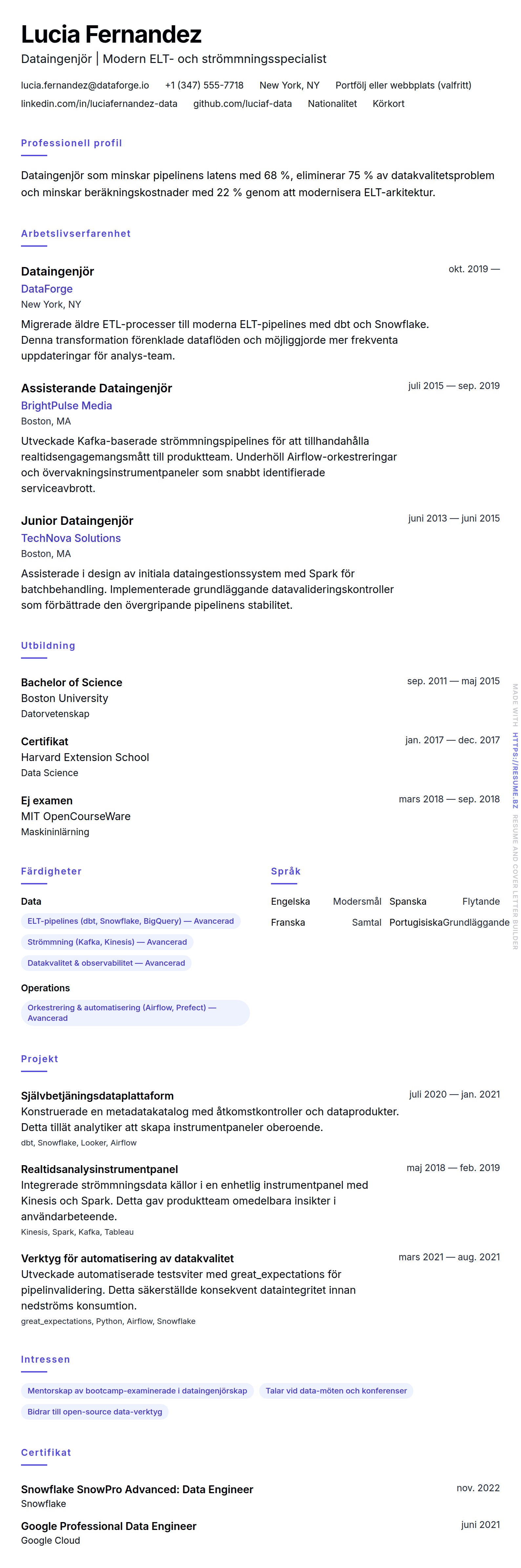 CV-förhandsgranskning för Exempel på CV för Dataingenjör