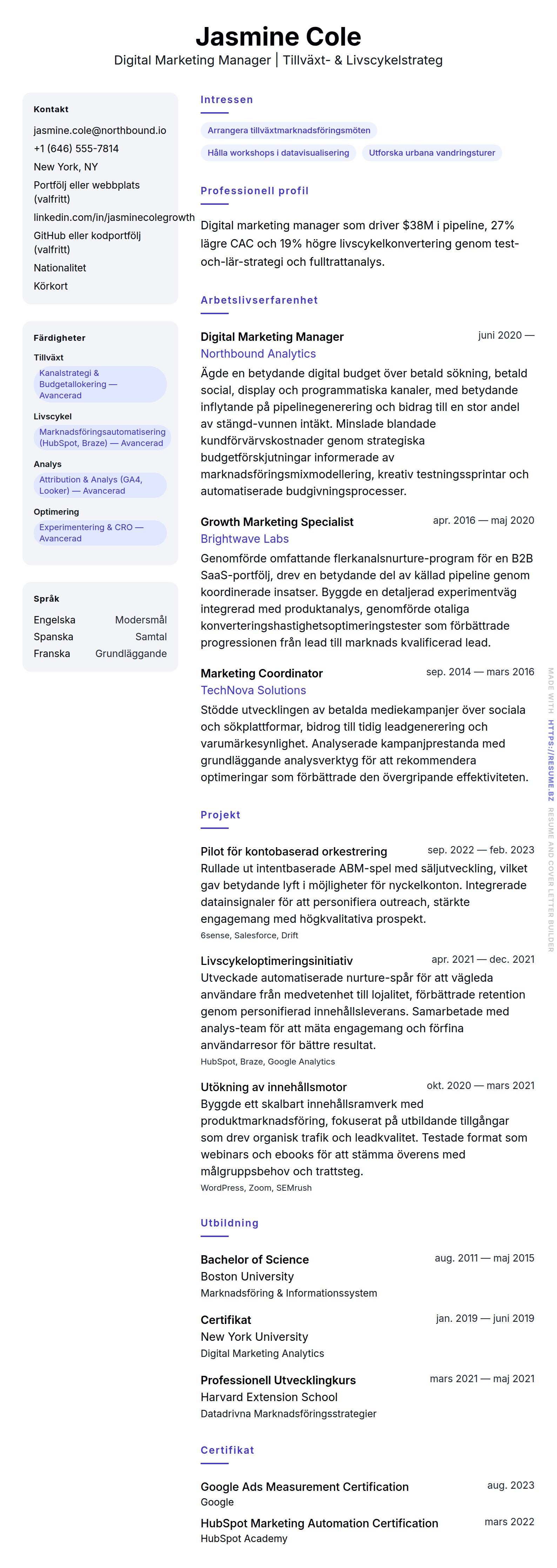 CV-förhandsgranskning för Exempel på CV för Digital Marketing Manager