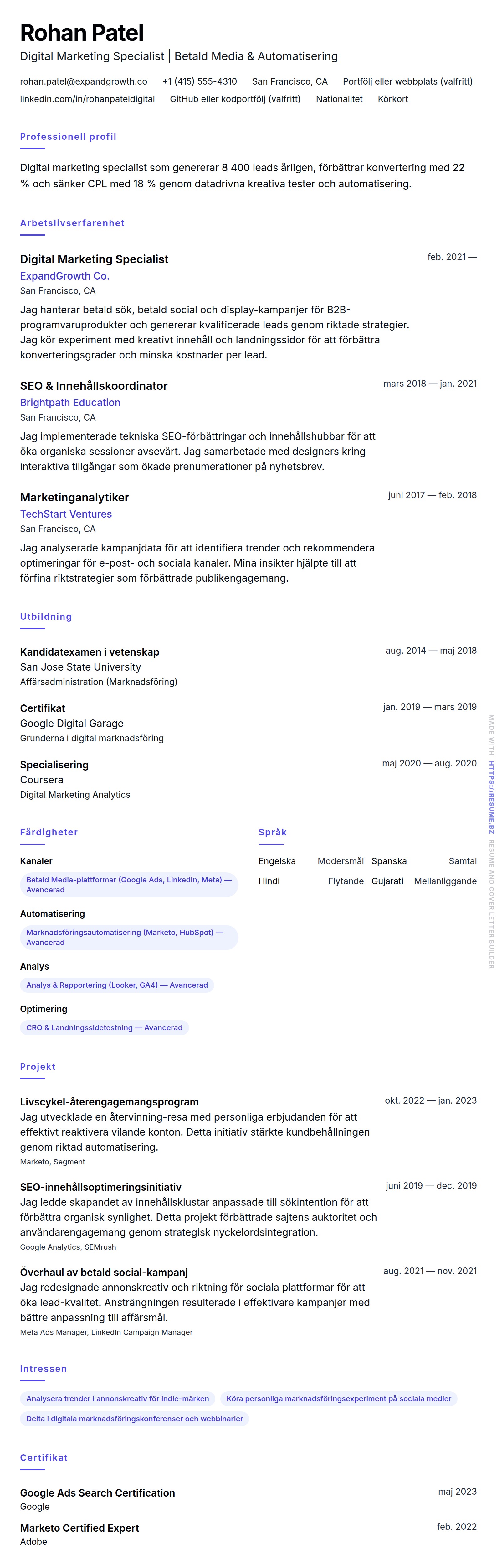 CV-förhandsgranskning för Digital Marketing Specialist CV-exempel