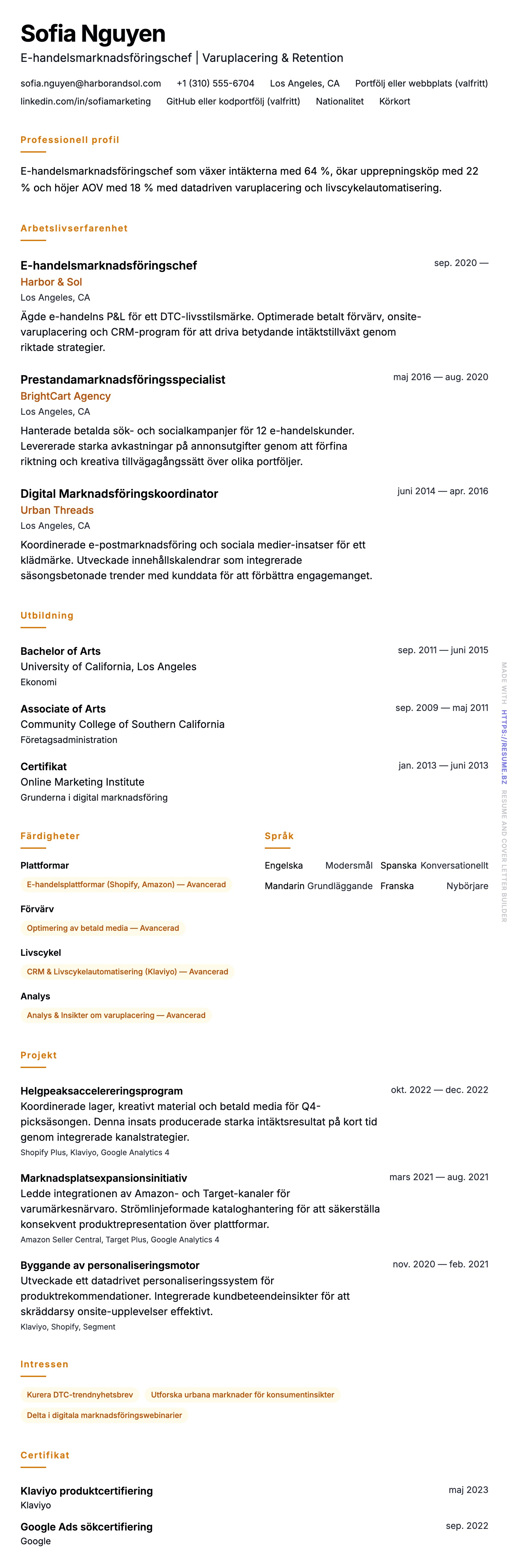 CV-förhandsgranskning för Exempel på CV för E-handelsmarknadsföringschef
